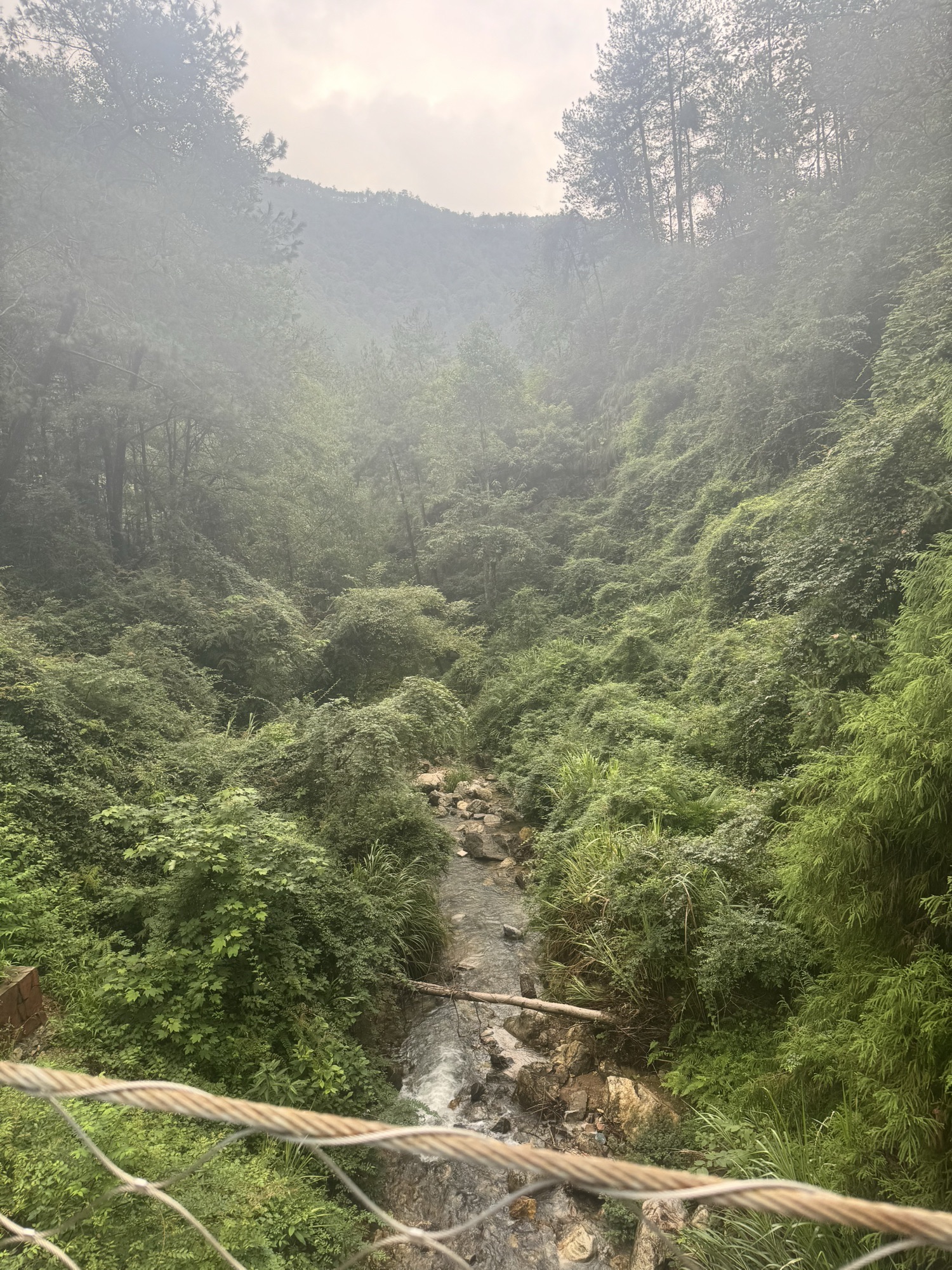 丽水白云国家森林公园旅行图片 3
