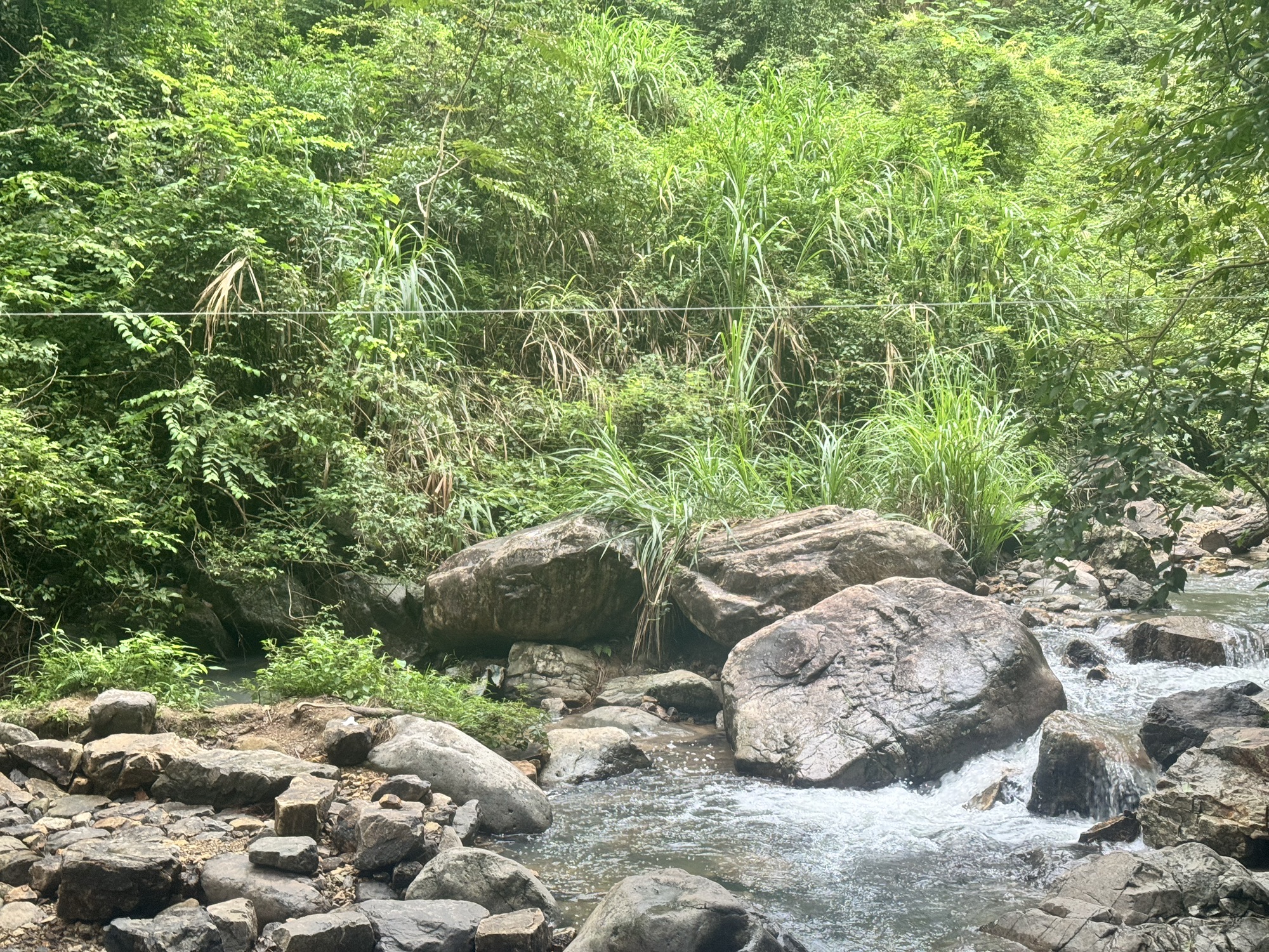 丽水白云国家森林公园旅行图片 1