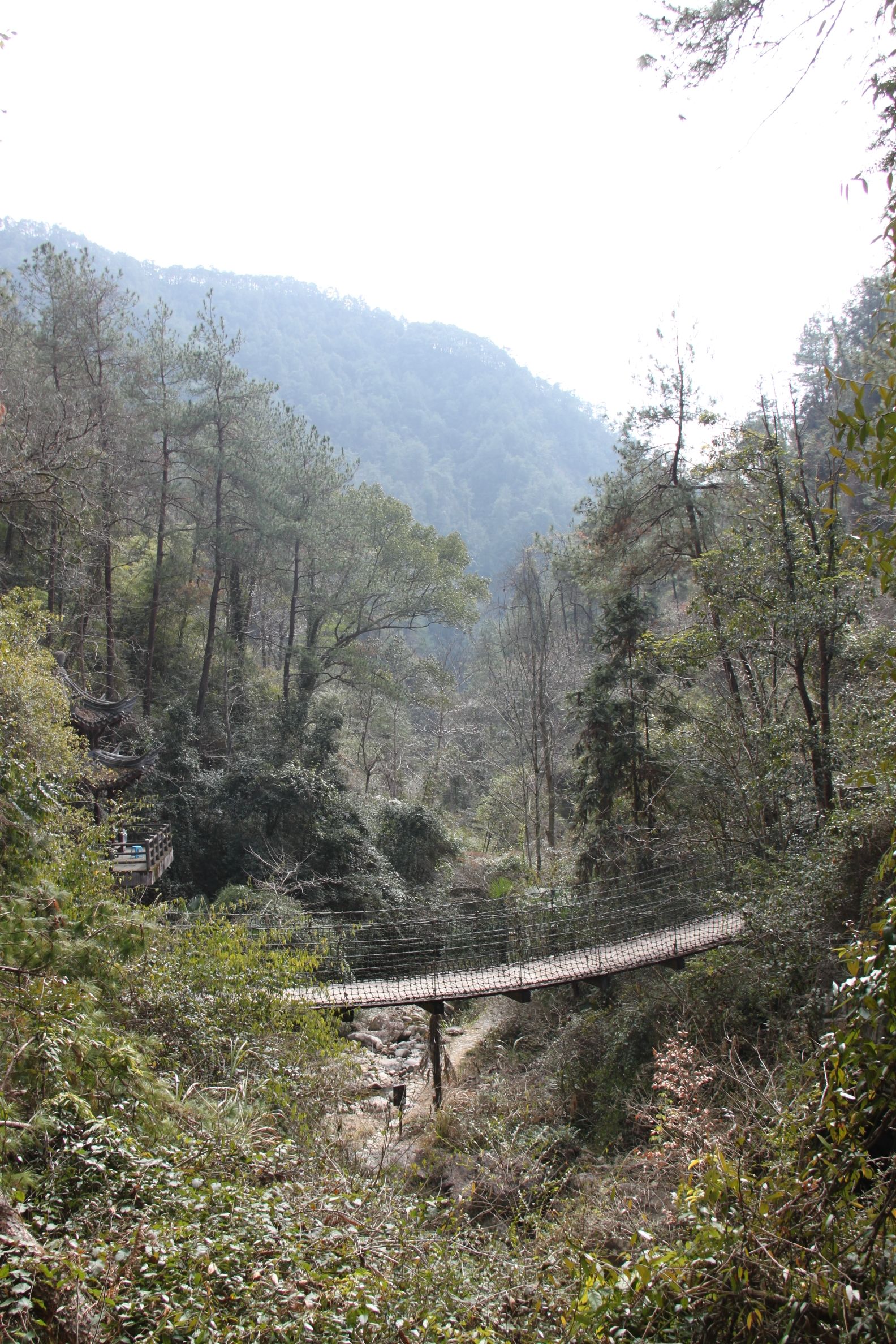 丽水白云国家森林公园旅行图片 2