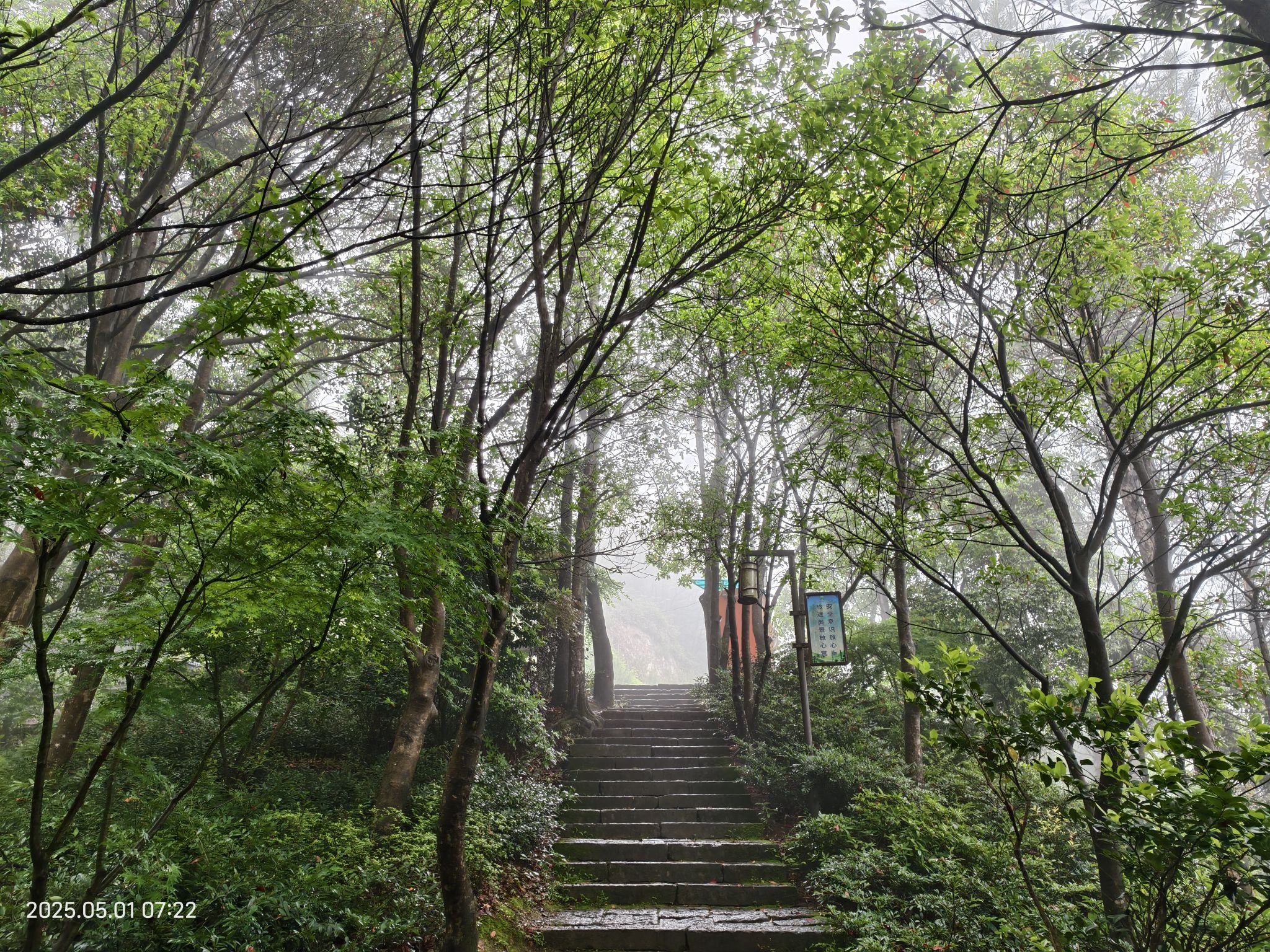 丽水白云国家森林公园旅行图片 3