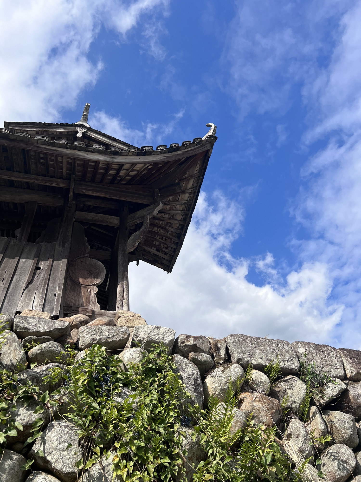 永和桥旅行图片 2