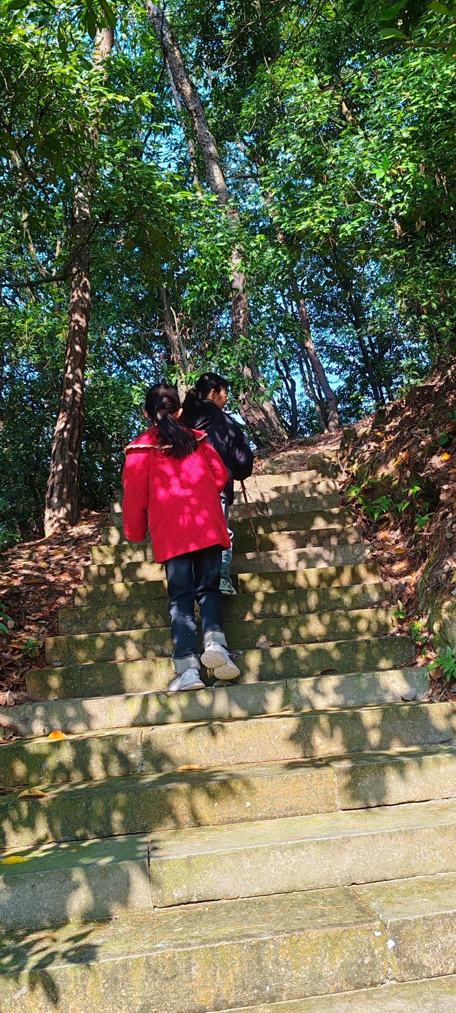 风景山公园