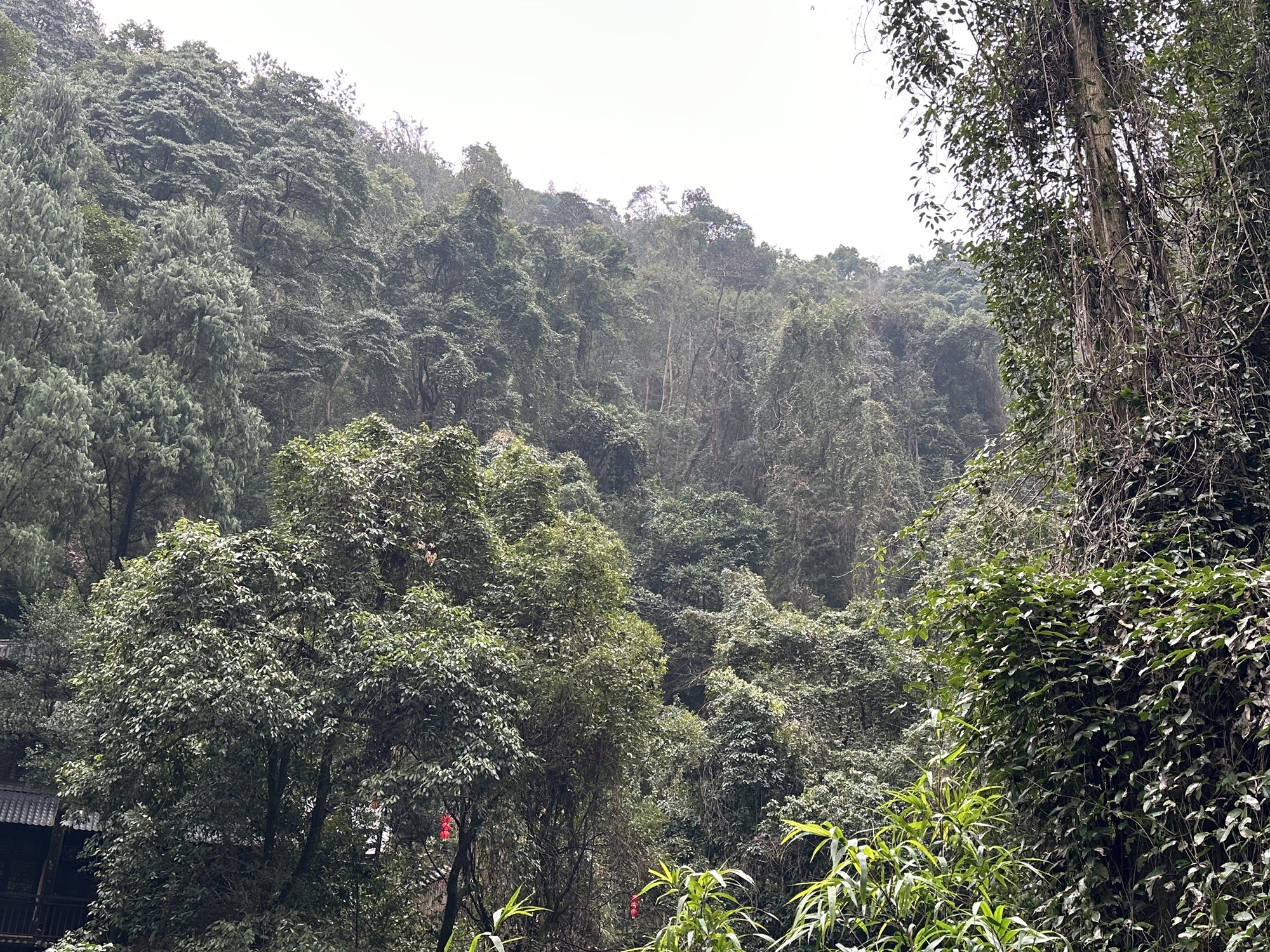 石门洞景区旅行图片 3