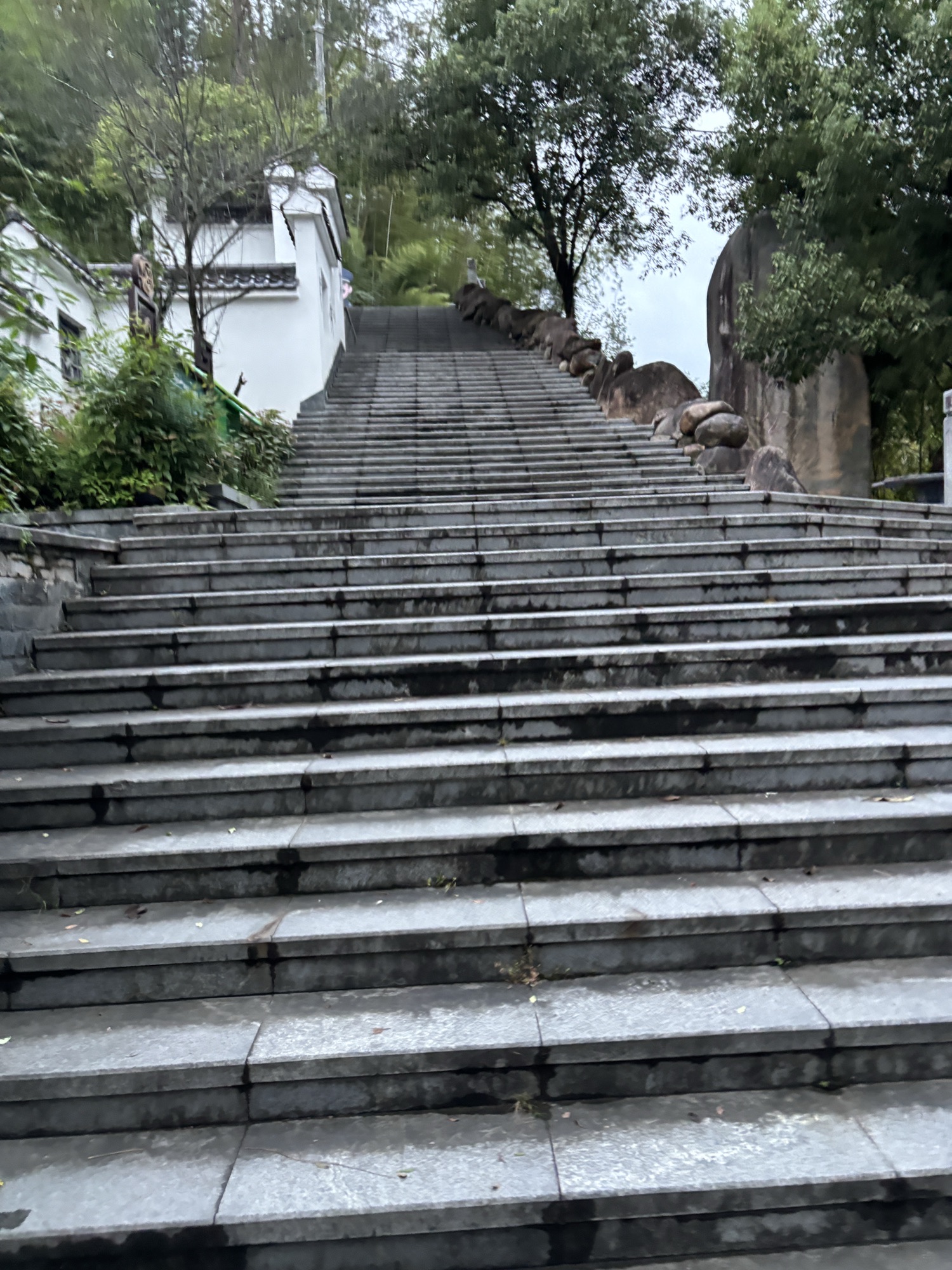 凤凰山森林公园旅行图片 3