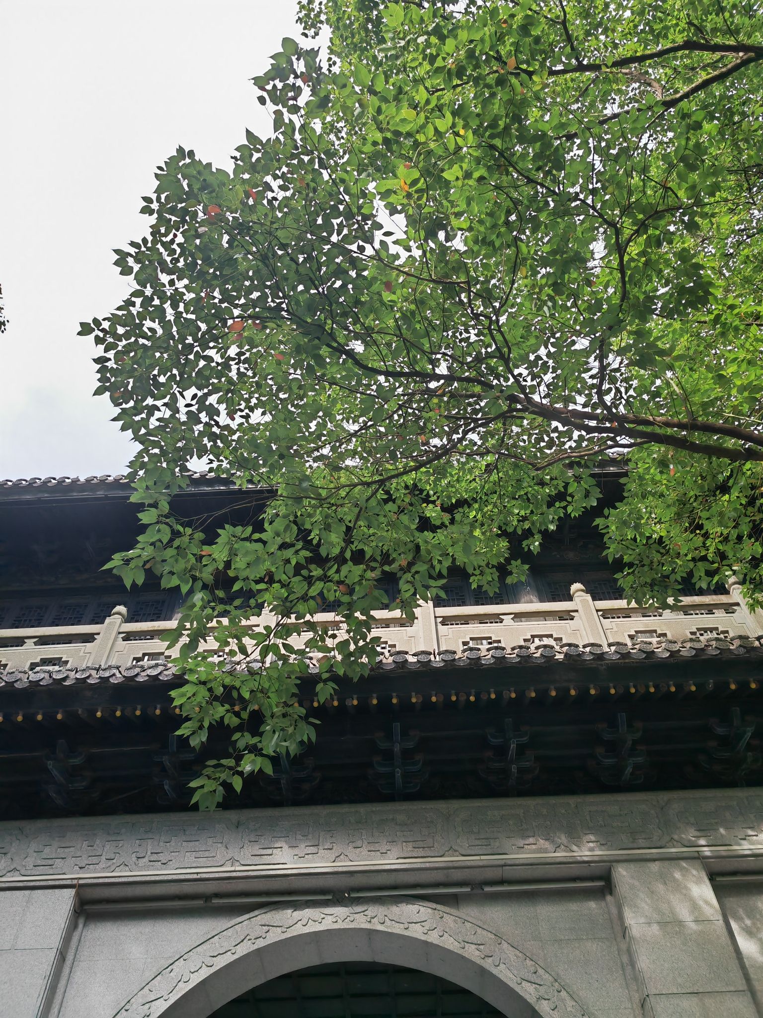 万象山公园旅行图片 3