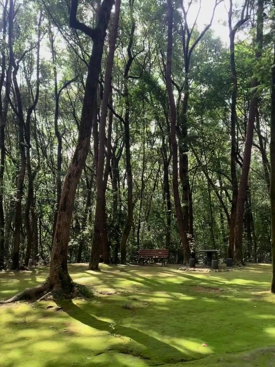 万象山公园旅行图片 3