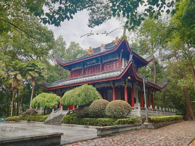 万象山公园旅行图片 3