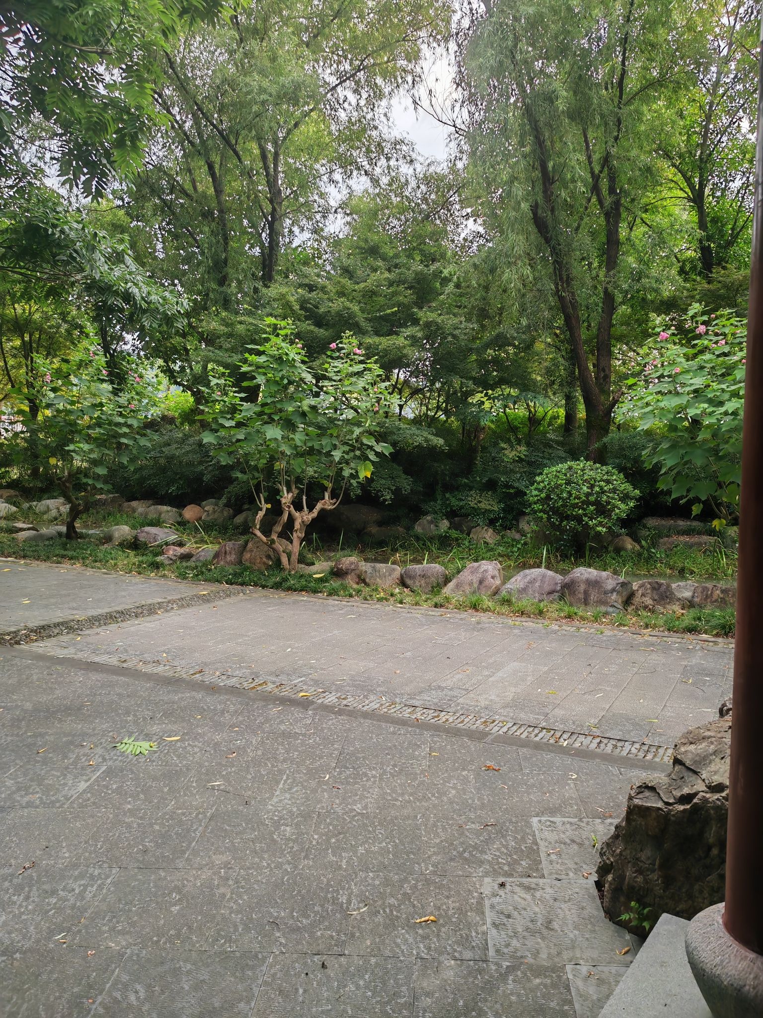 莲都江滨公园旅行图片 2
