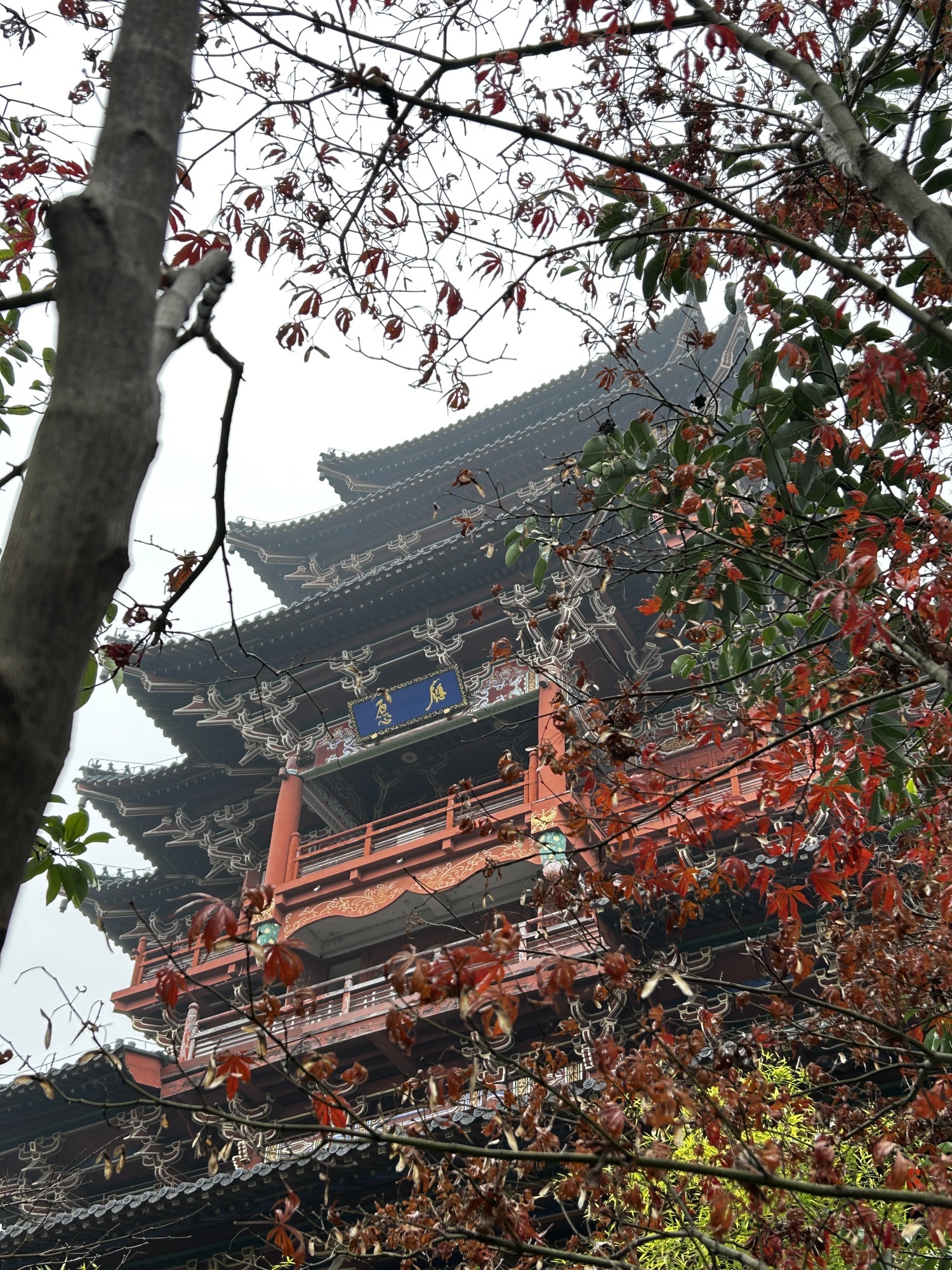 莲都江滨公园旅行图片 1