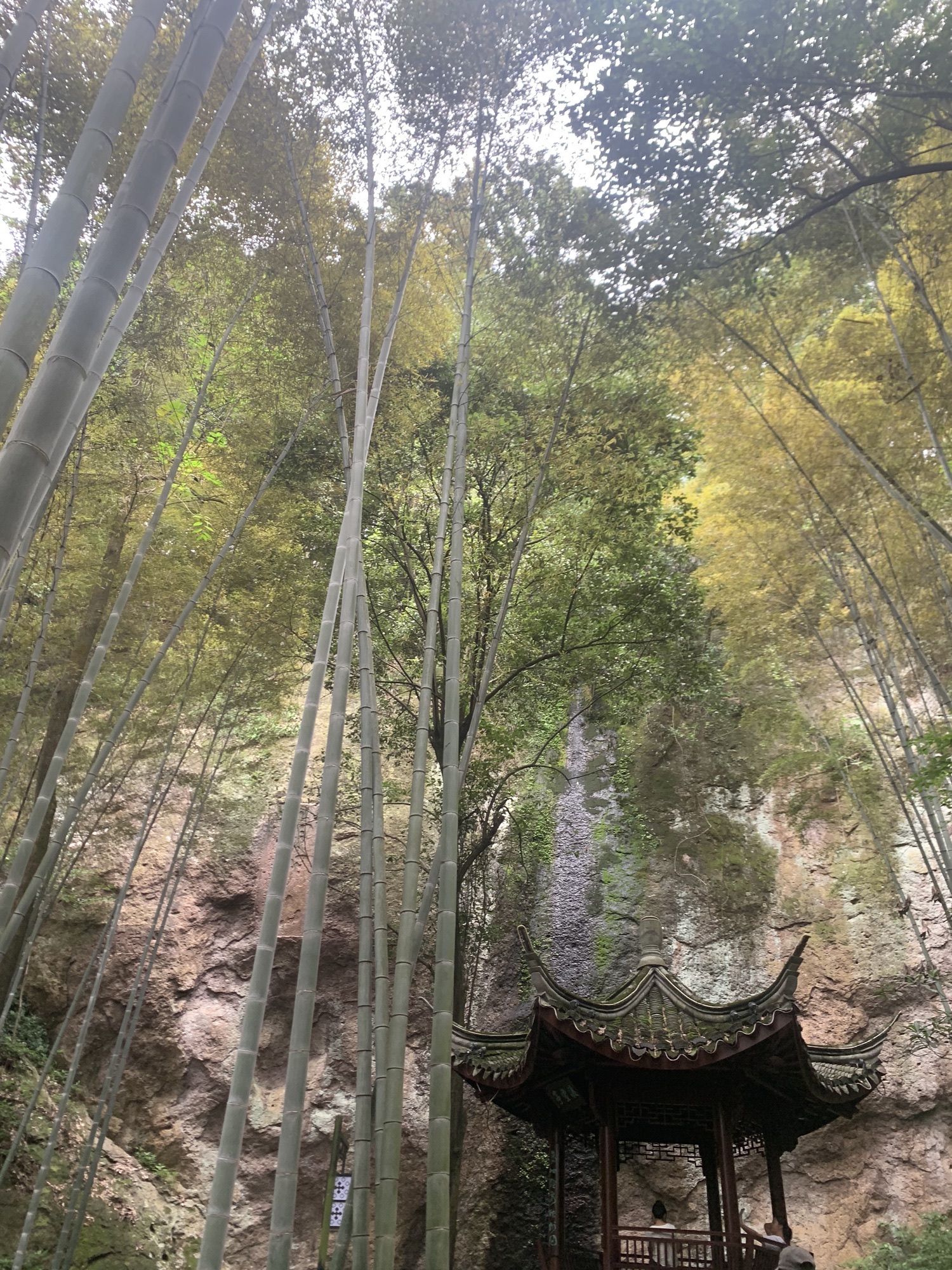 南明山景区旅行图片 2