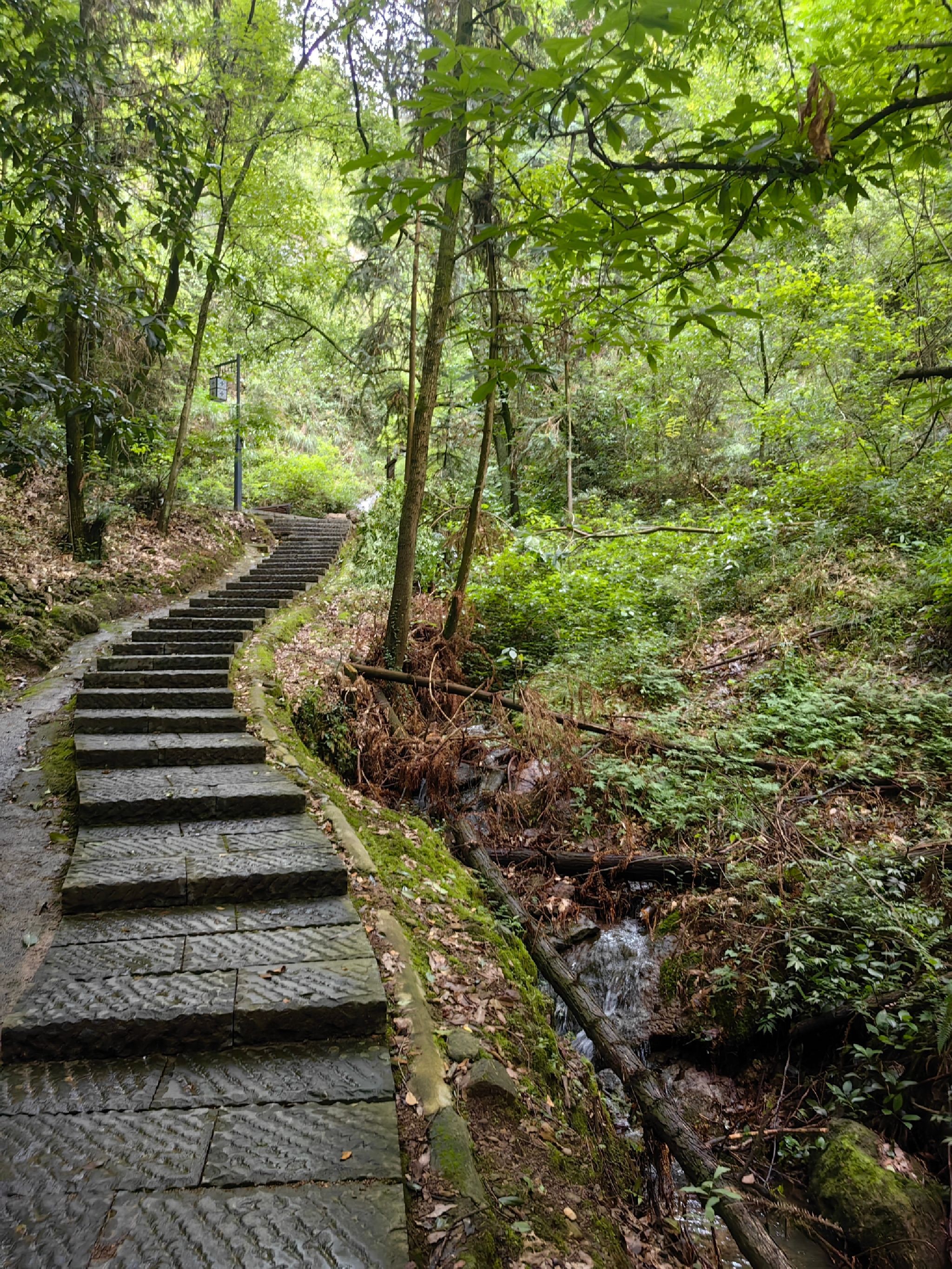 南明山景区旅行图片 1