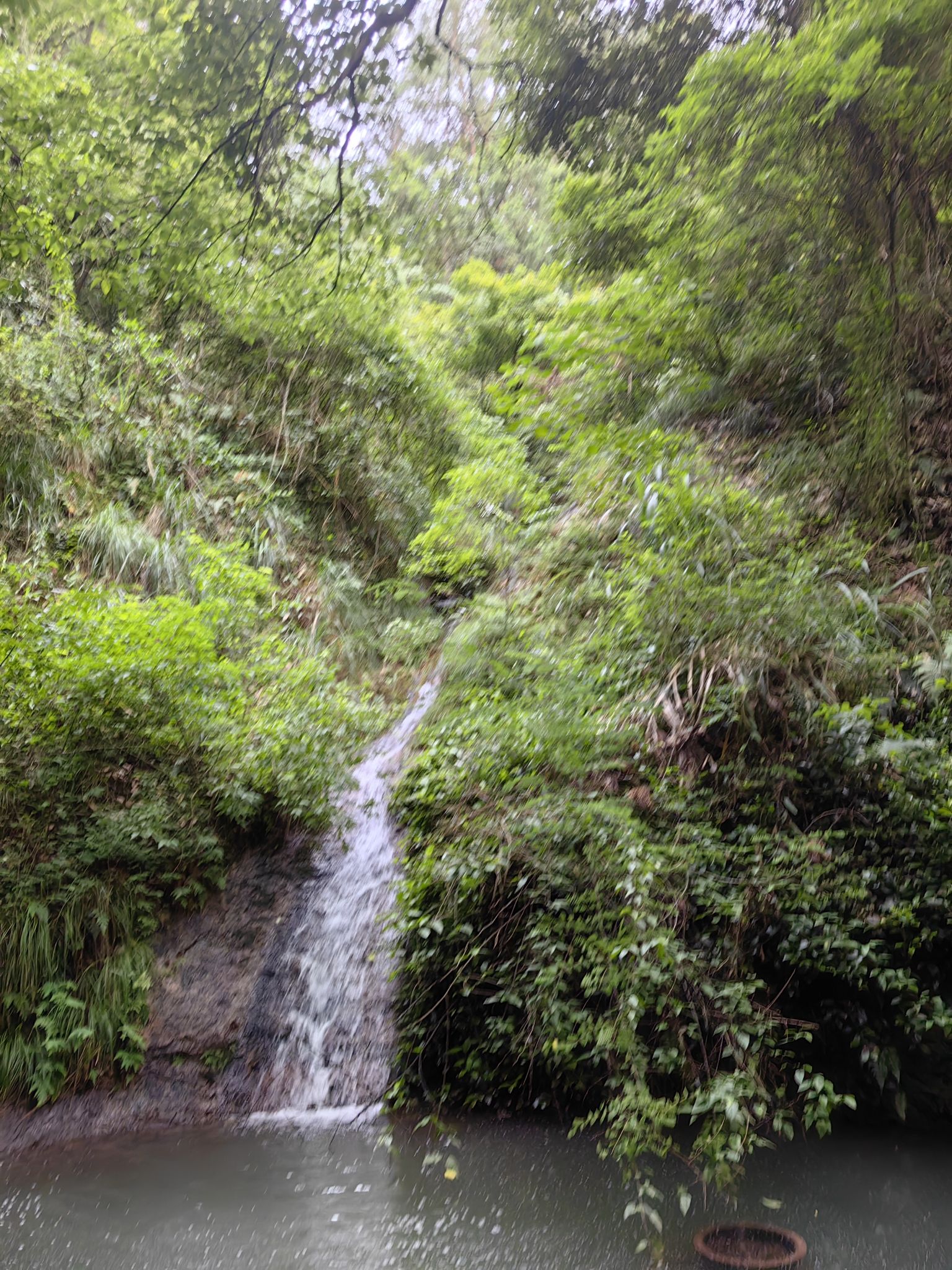 南明山景区旅行图片 3