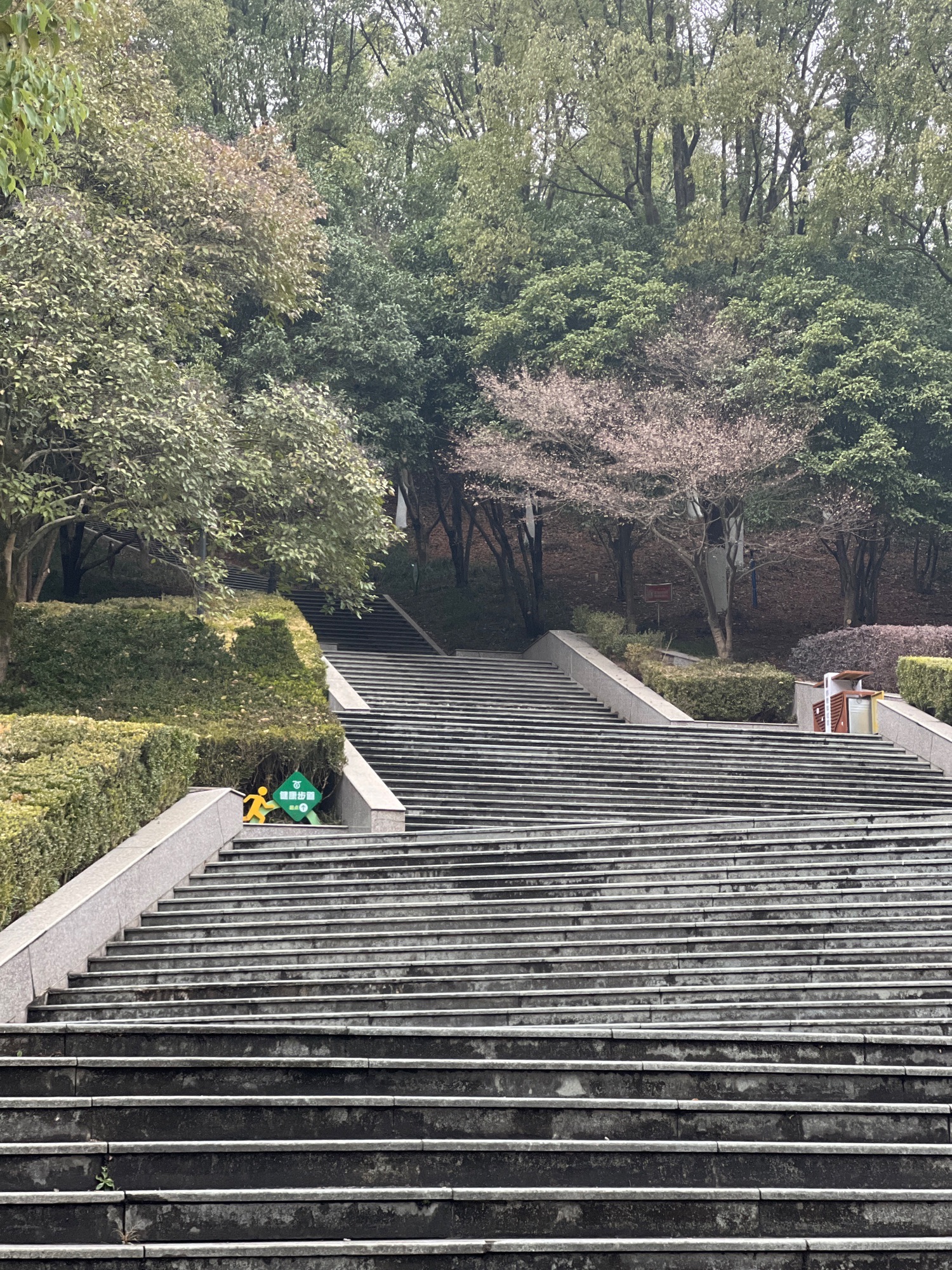 永宁公园旅行图片 2