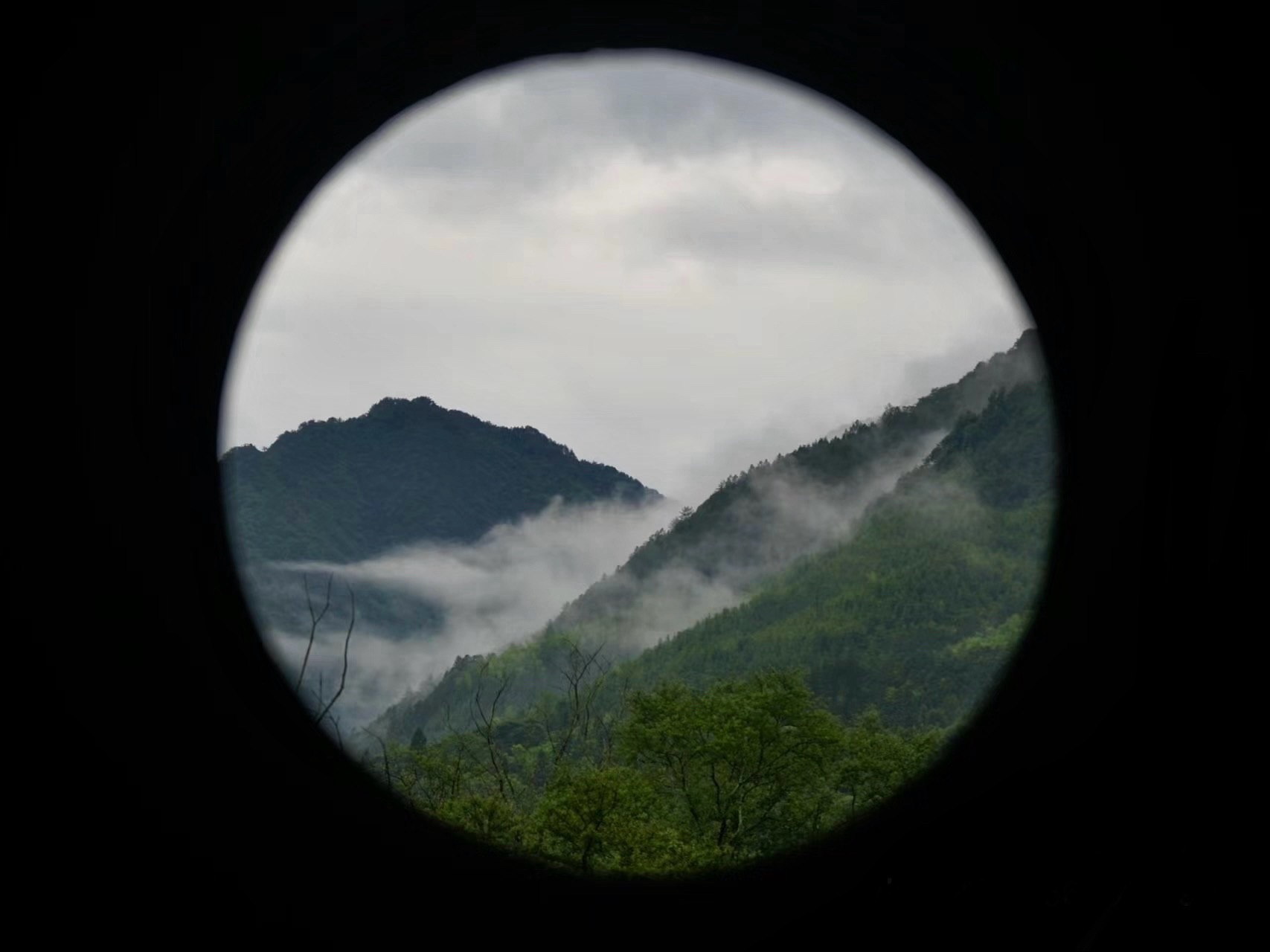 百山祖旅行图片 3