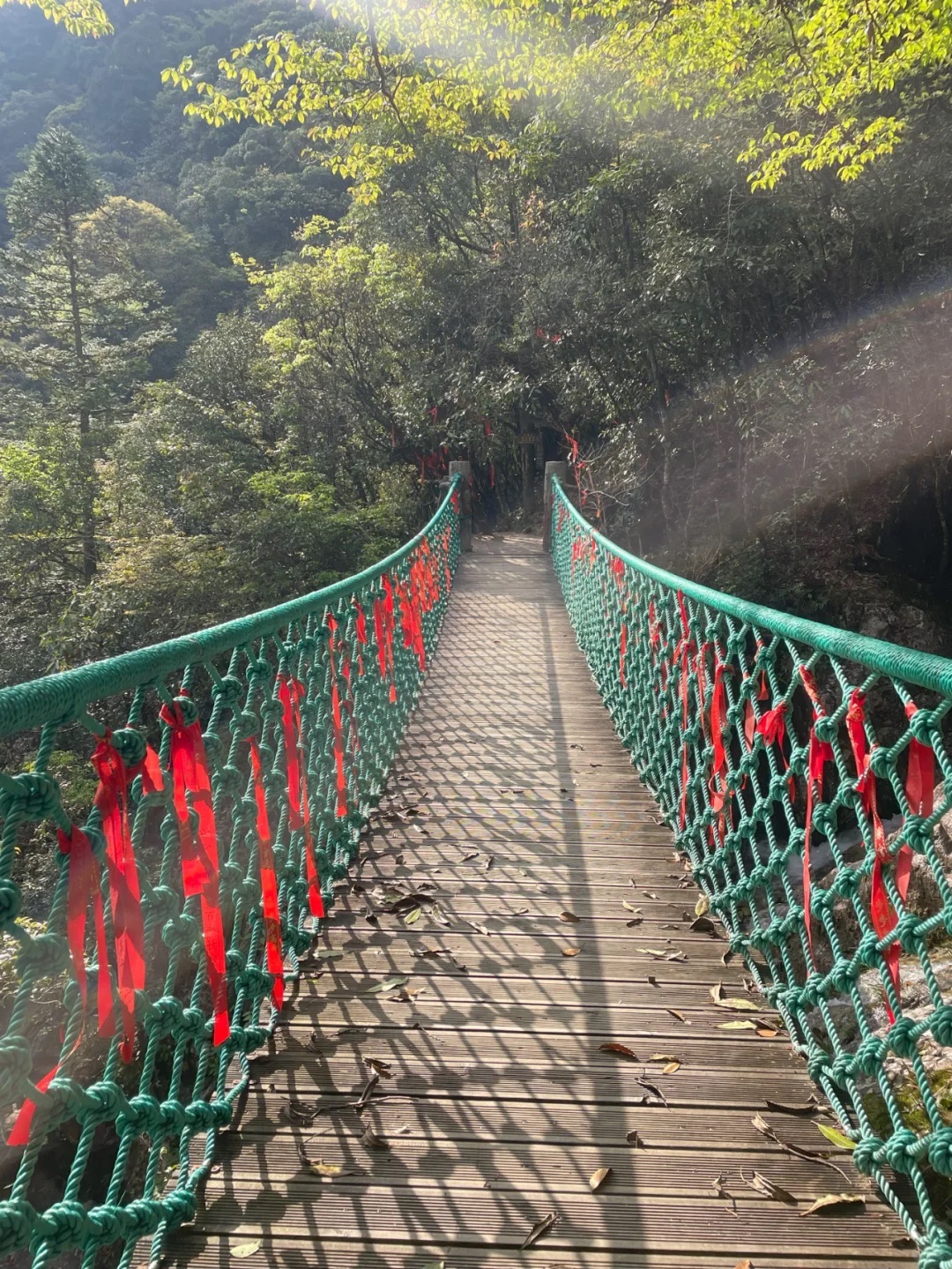 百山祖旅行图片 3