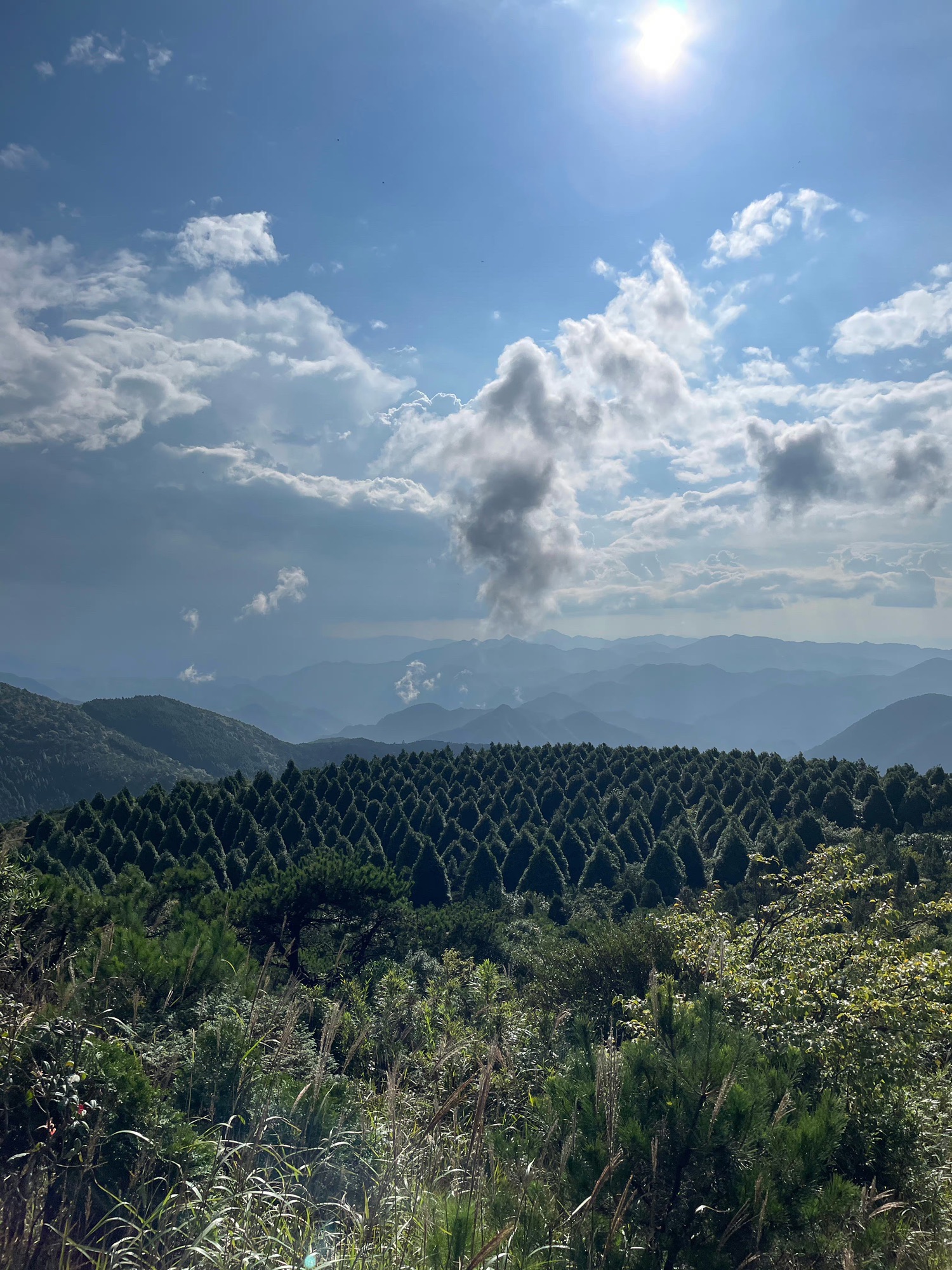 百山祖旅行图片 3