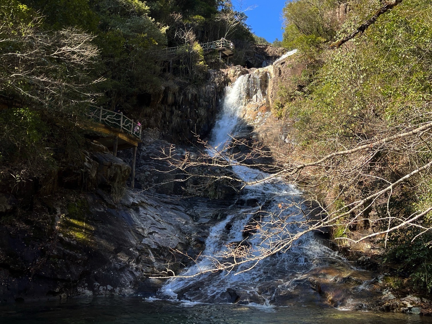 百山祖旅行图片 2