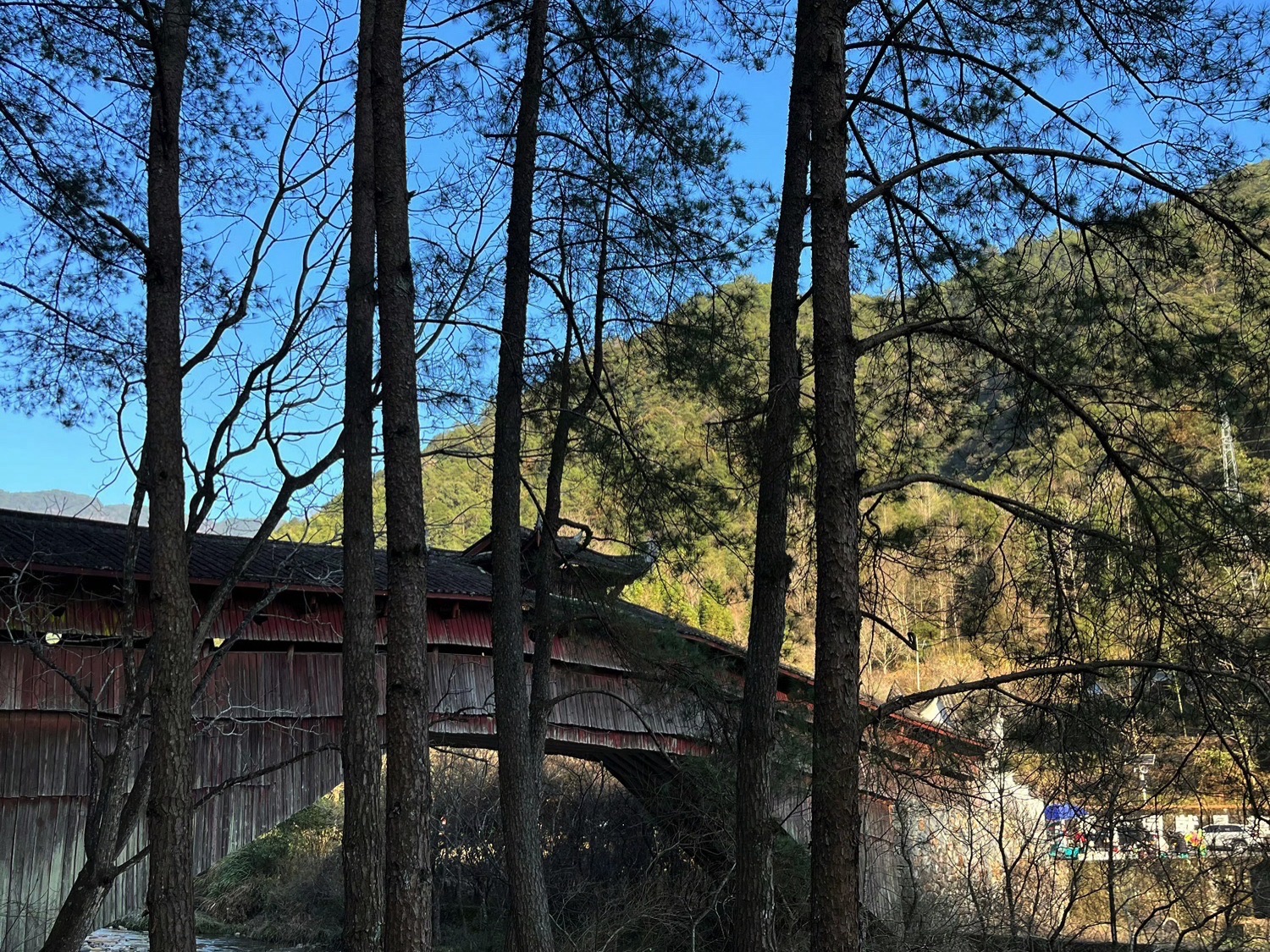 百山祖旅行图片 1