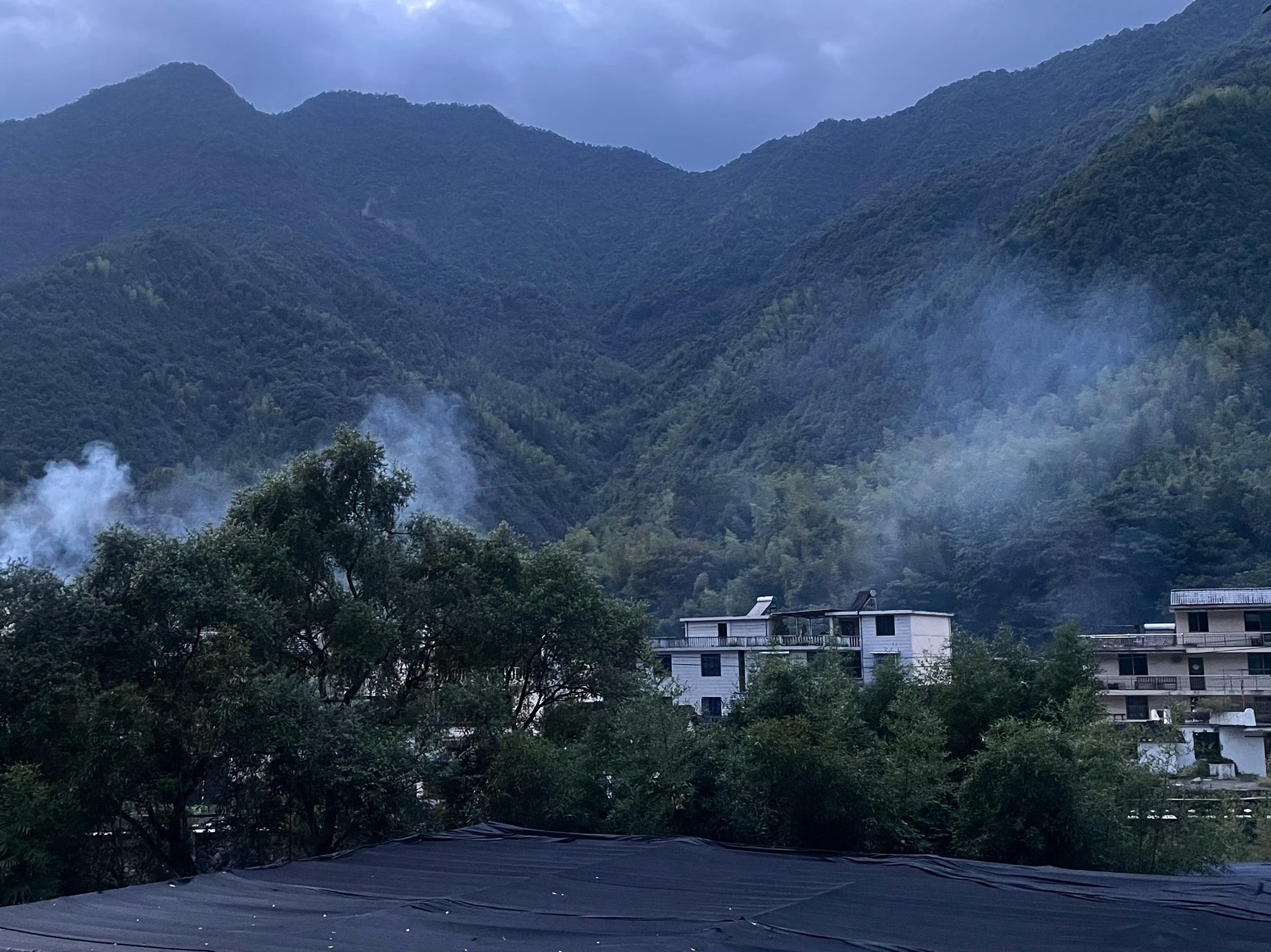 百山祖旅行图片 1