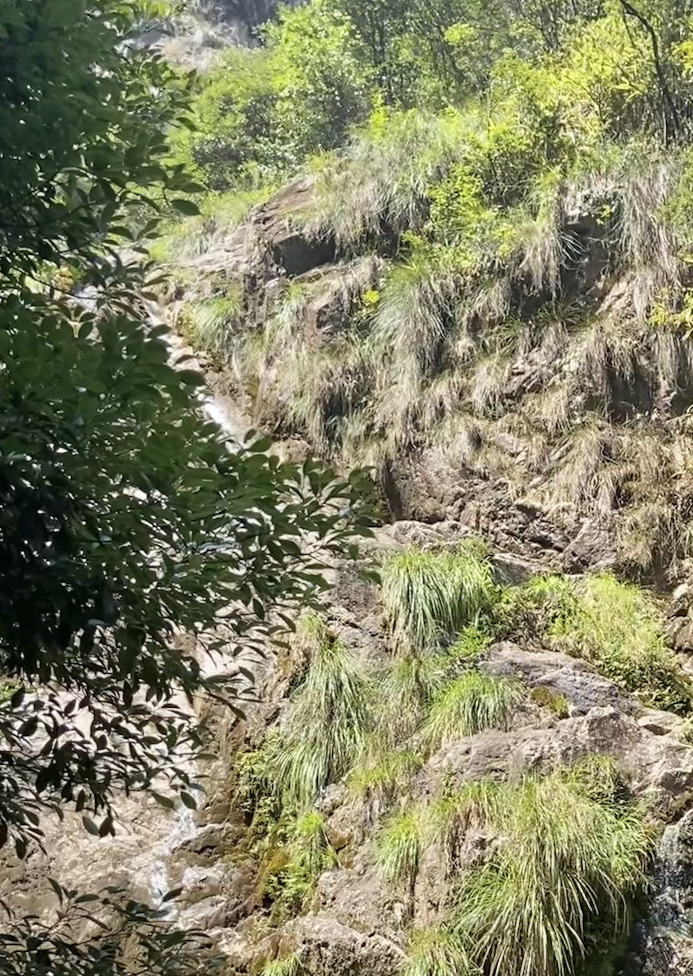 箬寮原始森林旅行图片 2