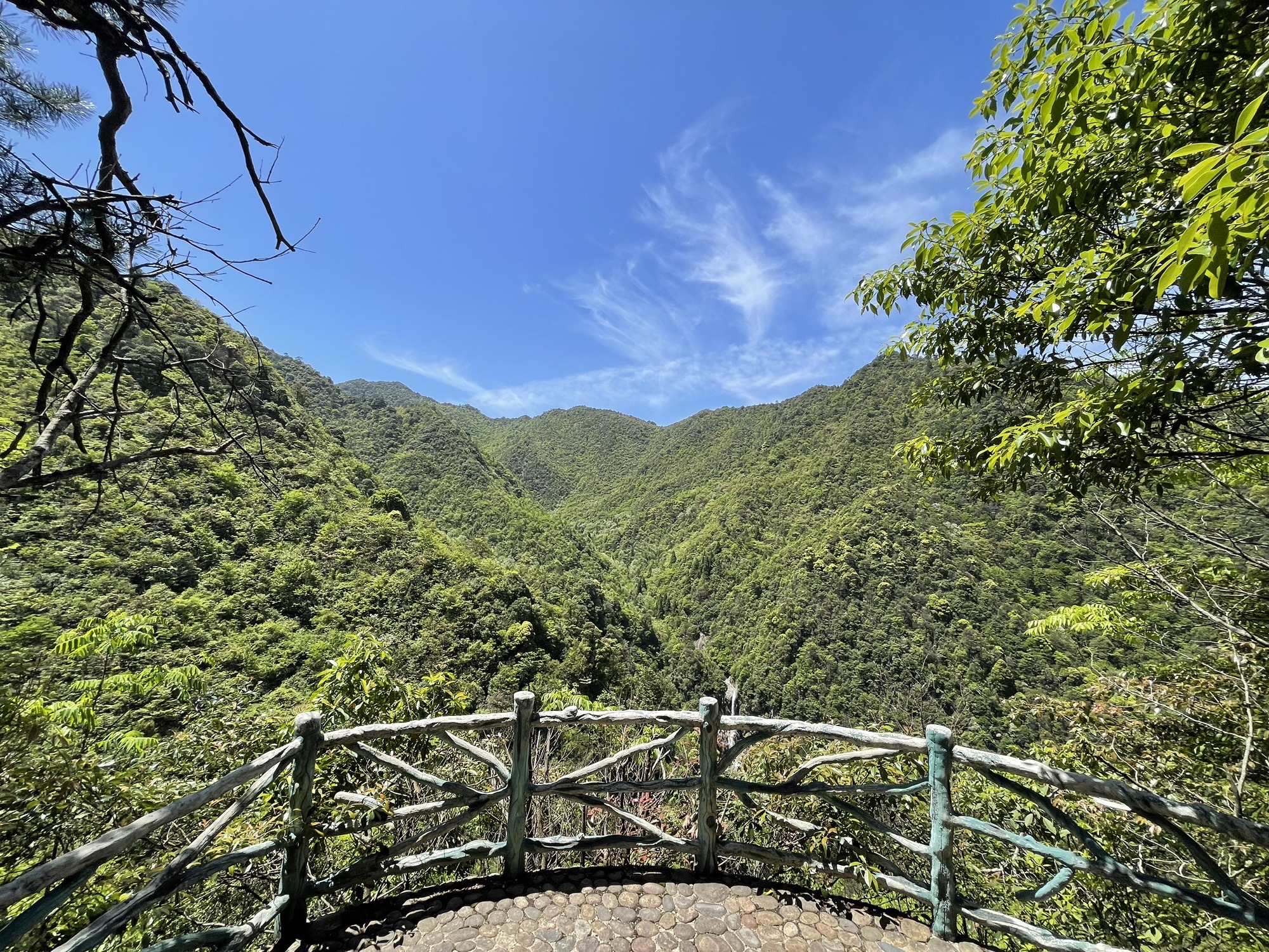 箬寮原始森林旅行图片 3