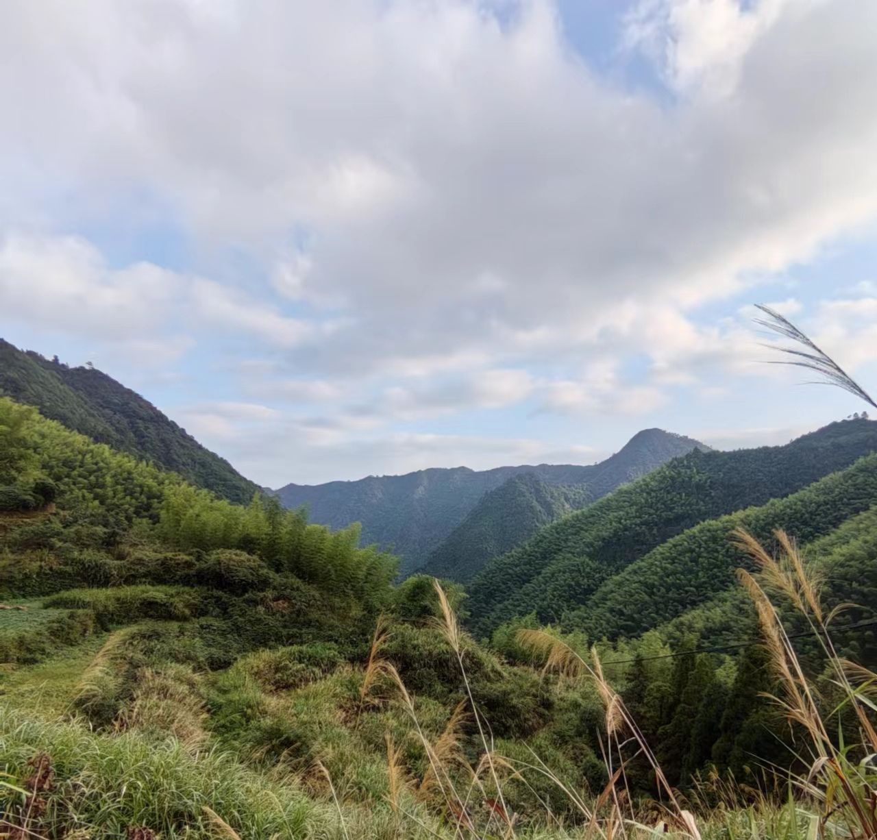箬寮原始森林旅行图片 1