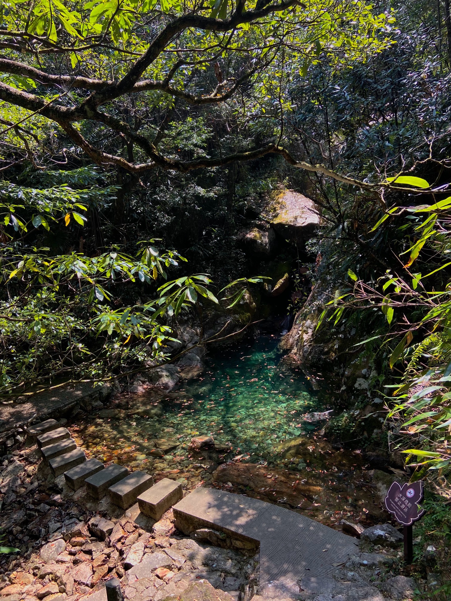 箬寮原始森林旅行图片 3