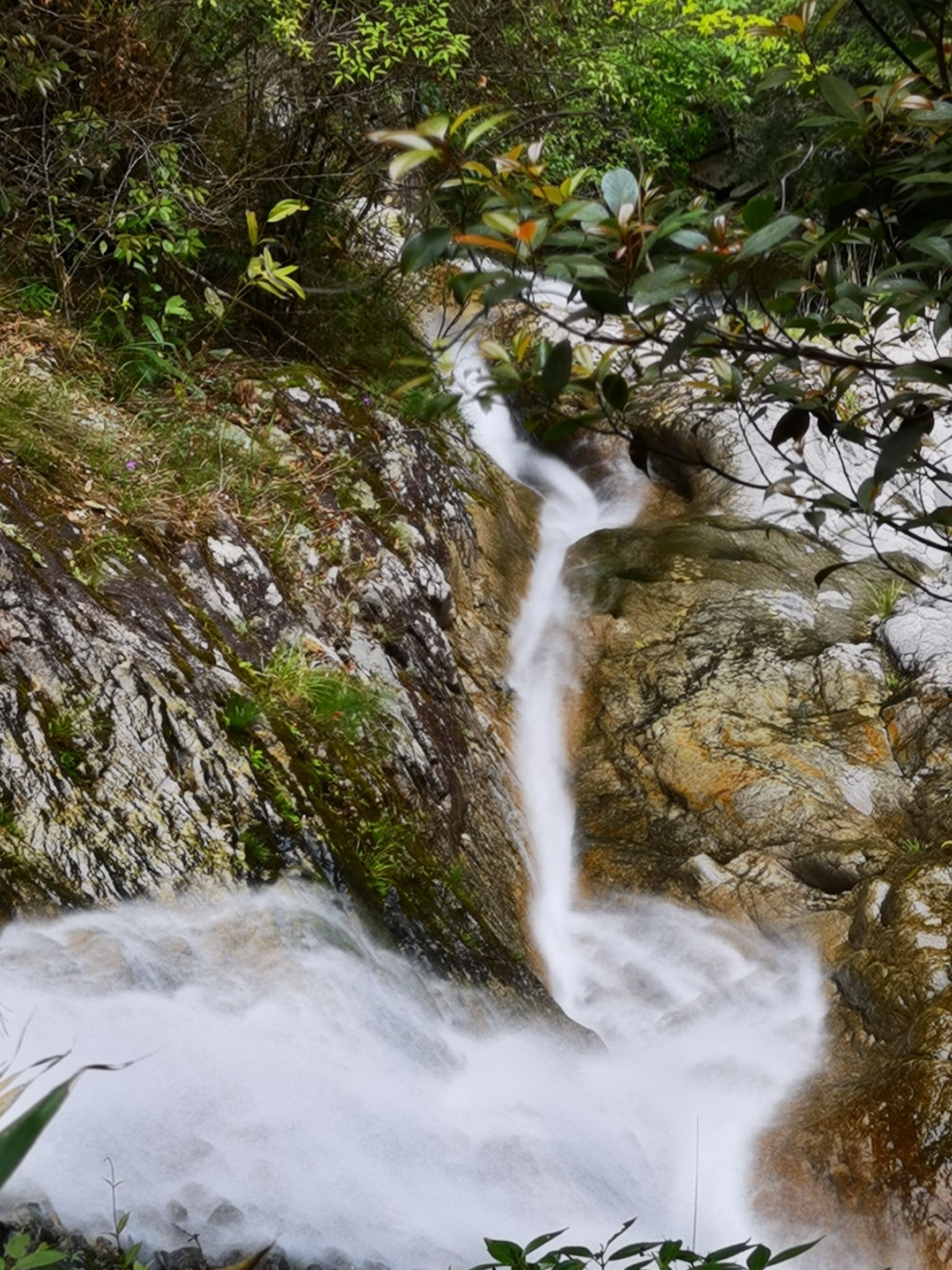 箬寮原始森林旅行图片 2