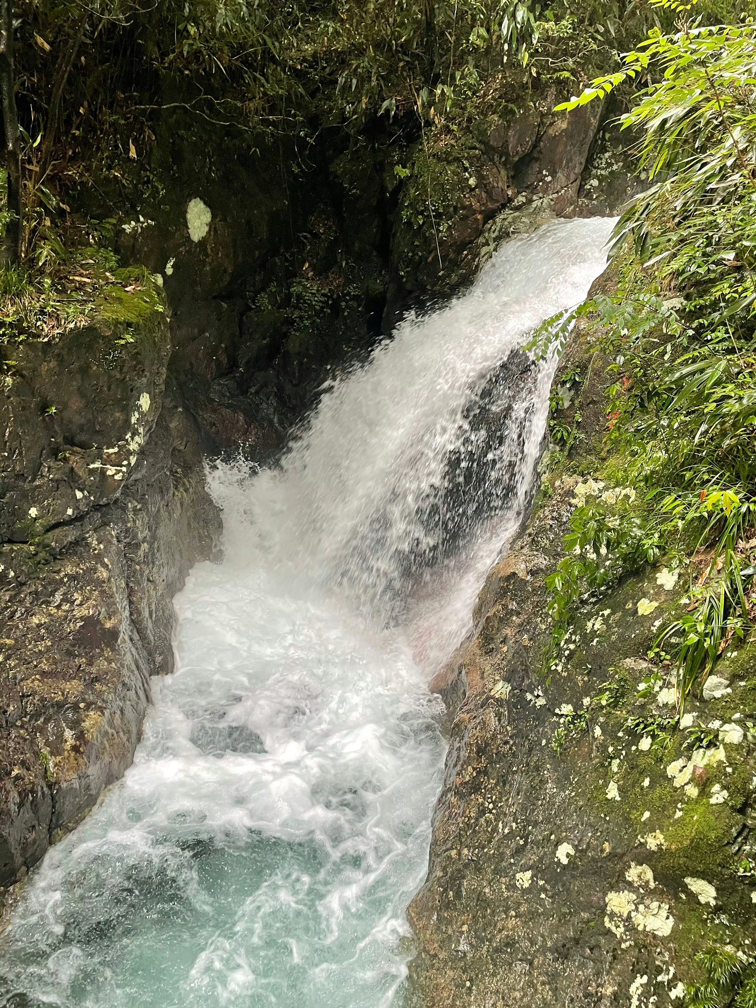 箬寮原始森林旅行图片 3