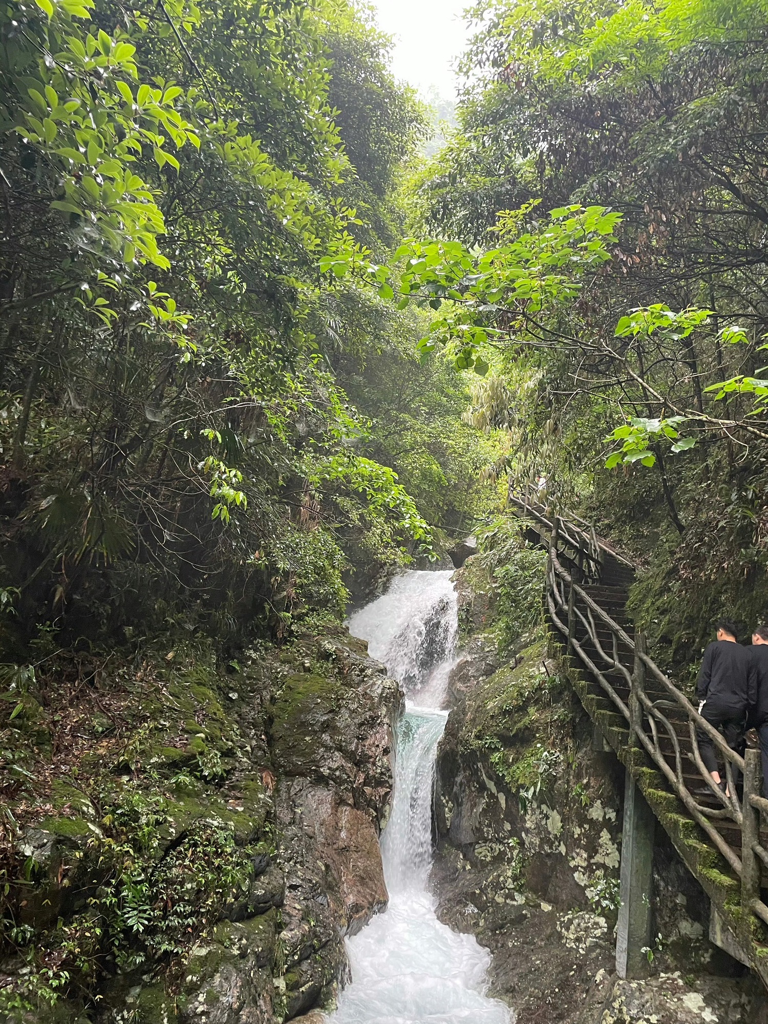 箬寮原始森林旅行图片 1