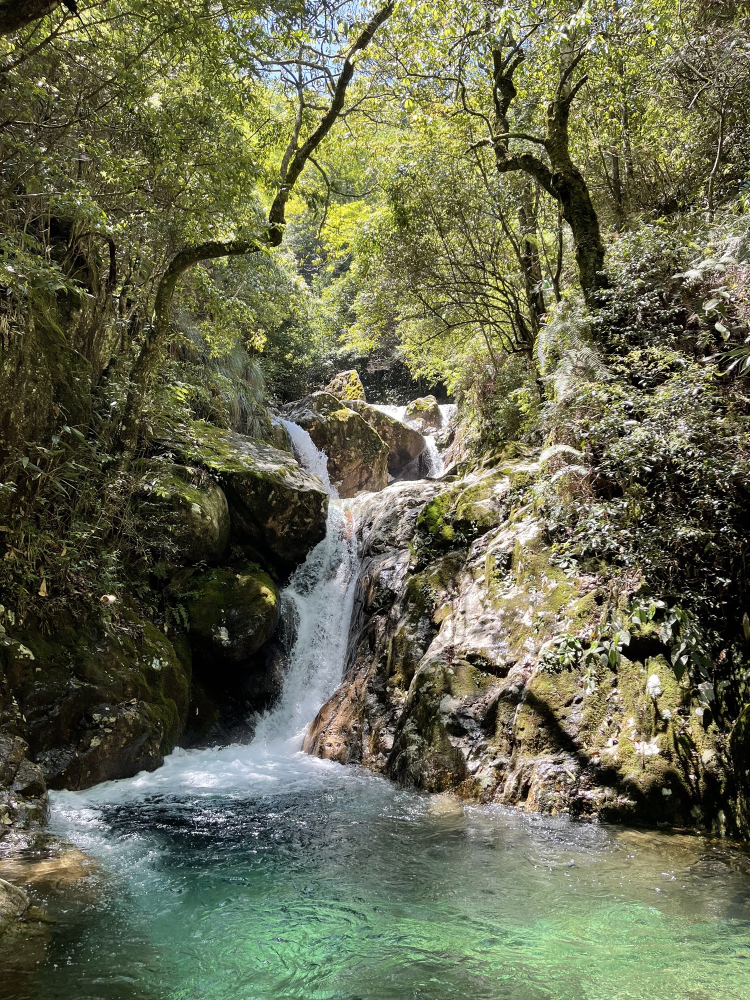 箬寮原始森林旅行图片 1