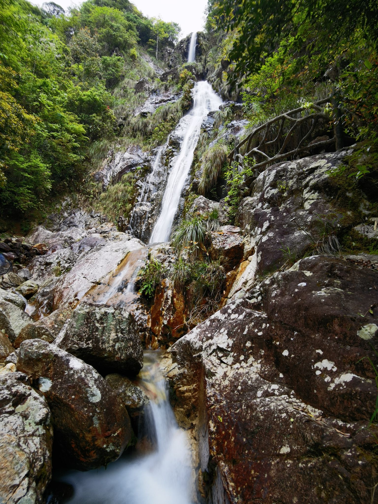 箬寮原始森林旅行图片 3