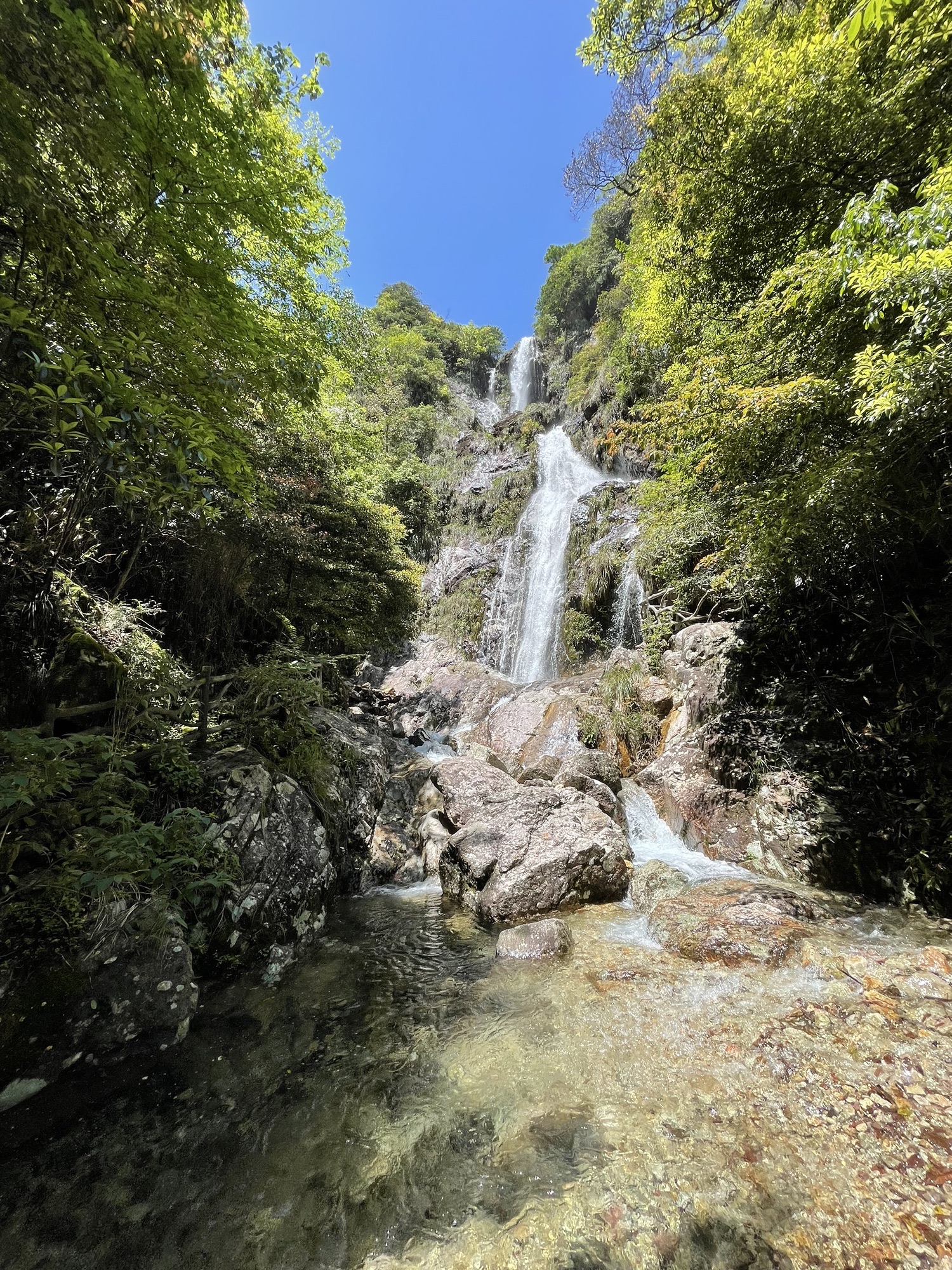 箬寮原始森林旅行图片 2