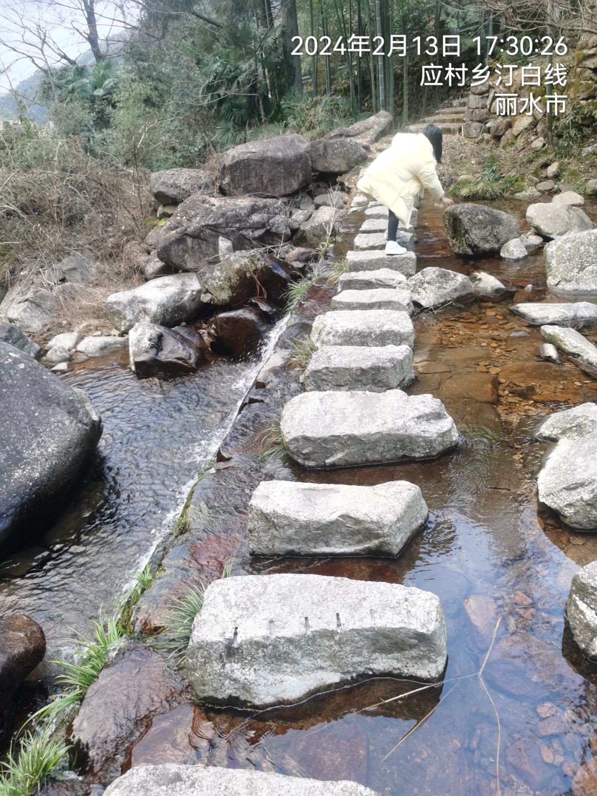 遂昌县白马山森林公园旅行图片 1