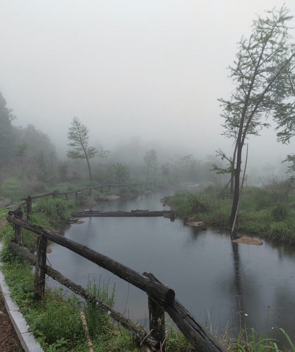 遂昌县白马山森林公园旅行图片 2
