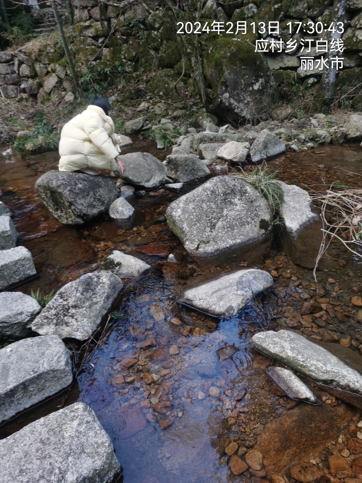 遂昌县白马山森林公园旅行图片 3