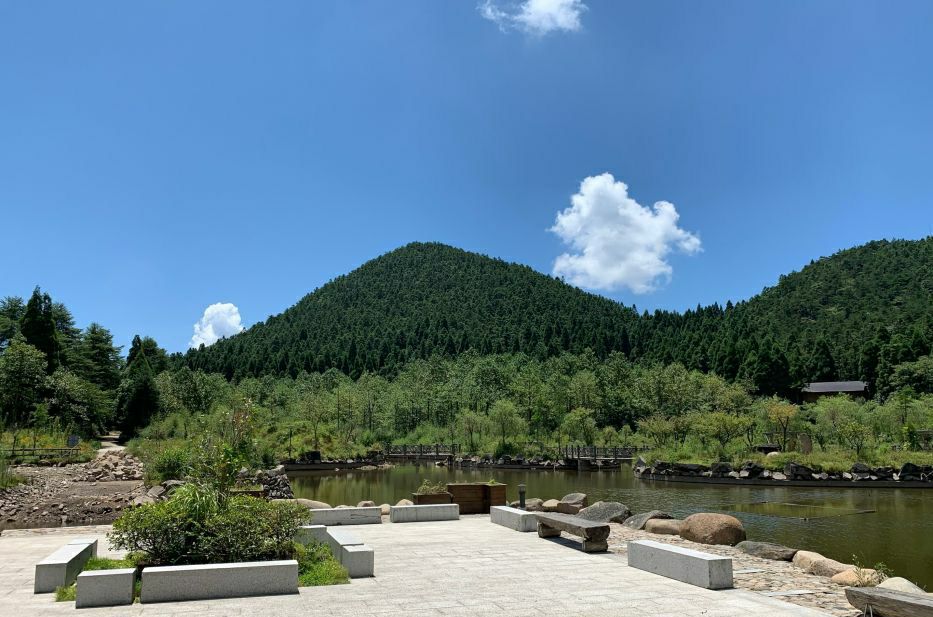 遂昌县白马山森林公园旅行图片 1