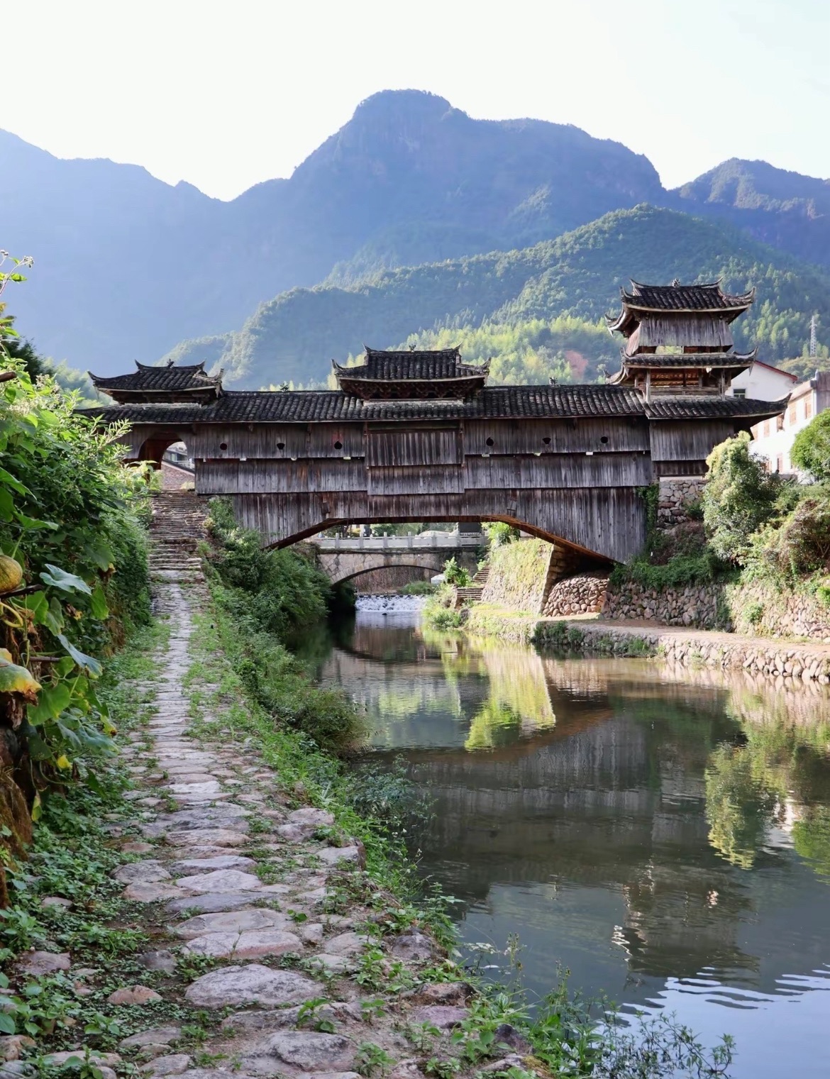 如龙桥旅行图片 2