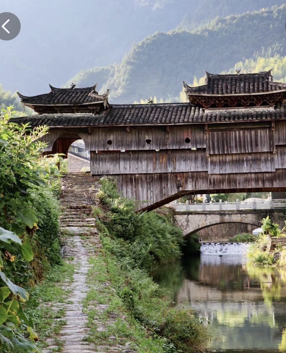 如龙桥旅行图片 1