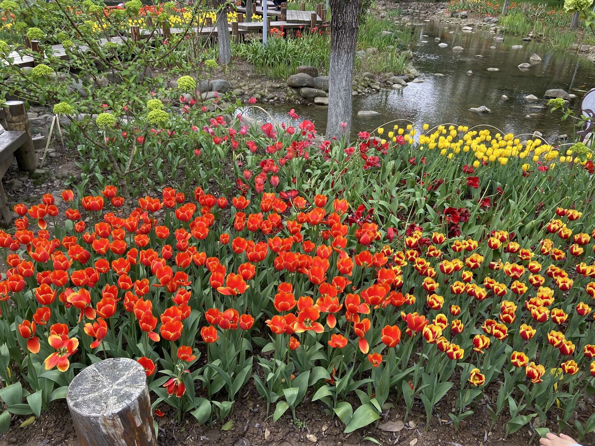 浙江丽水市莲都区附近的旅游景点有哪些？
