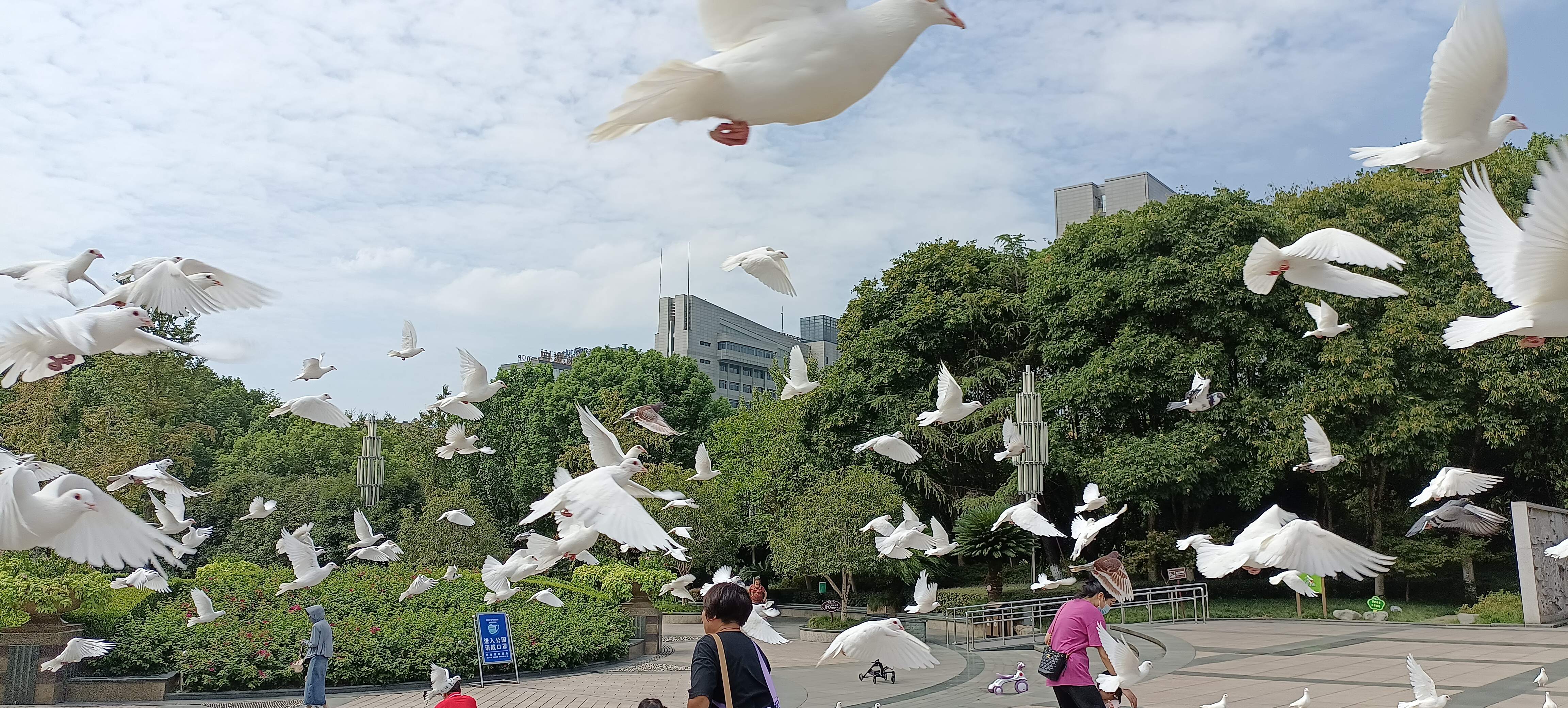 处州公园