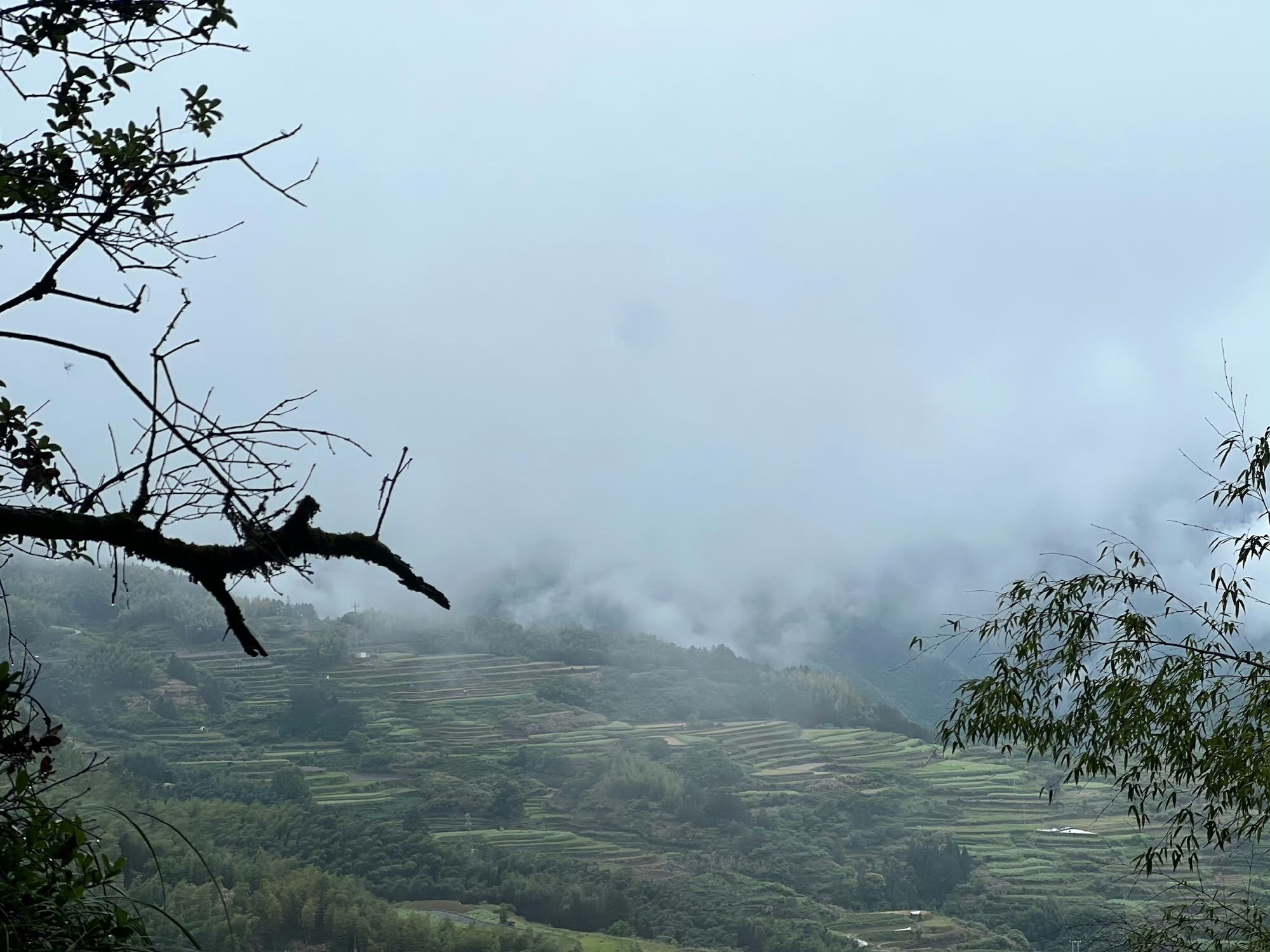 南尖岩景区旅行图片 2