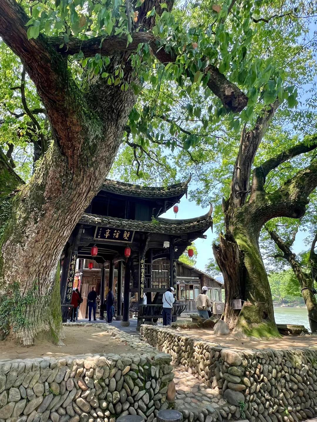 古堰画乡旅游度假区旅行图片 1
