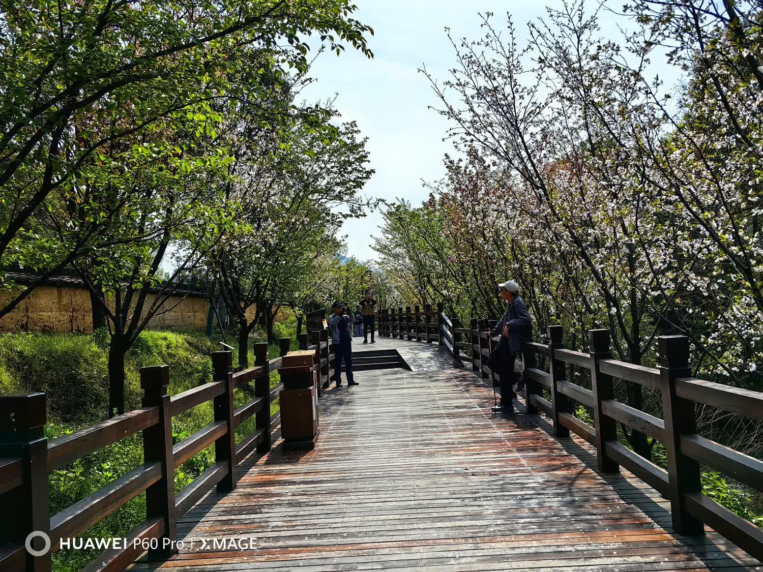 古堰画乡旅游度假区旅行图片 3