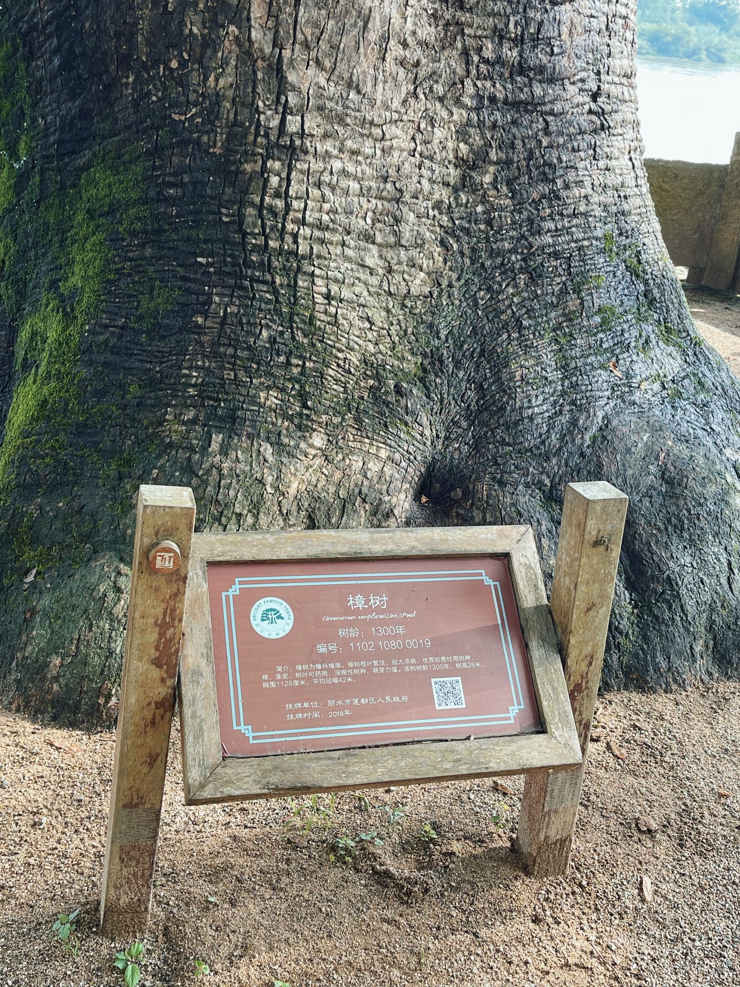 古堰画乡旅游度假区旅行图片 3