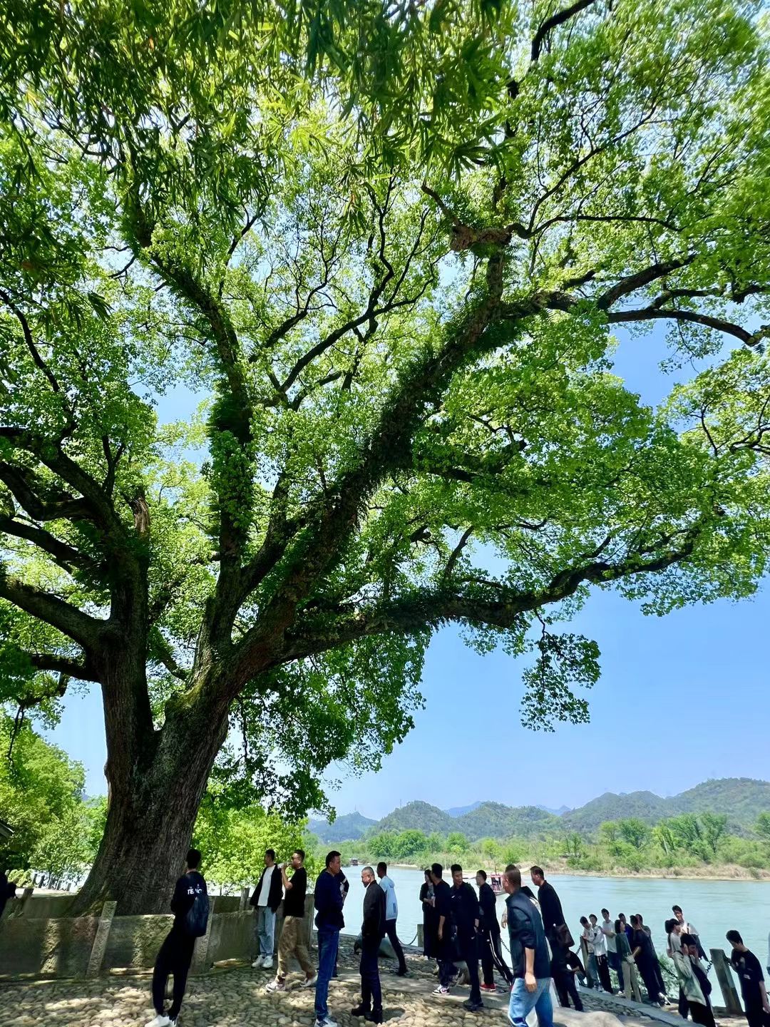 古堰画乡旅游度假区旅行图片 2
