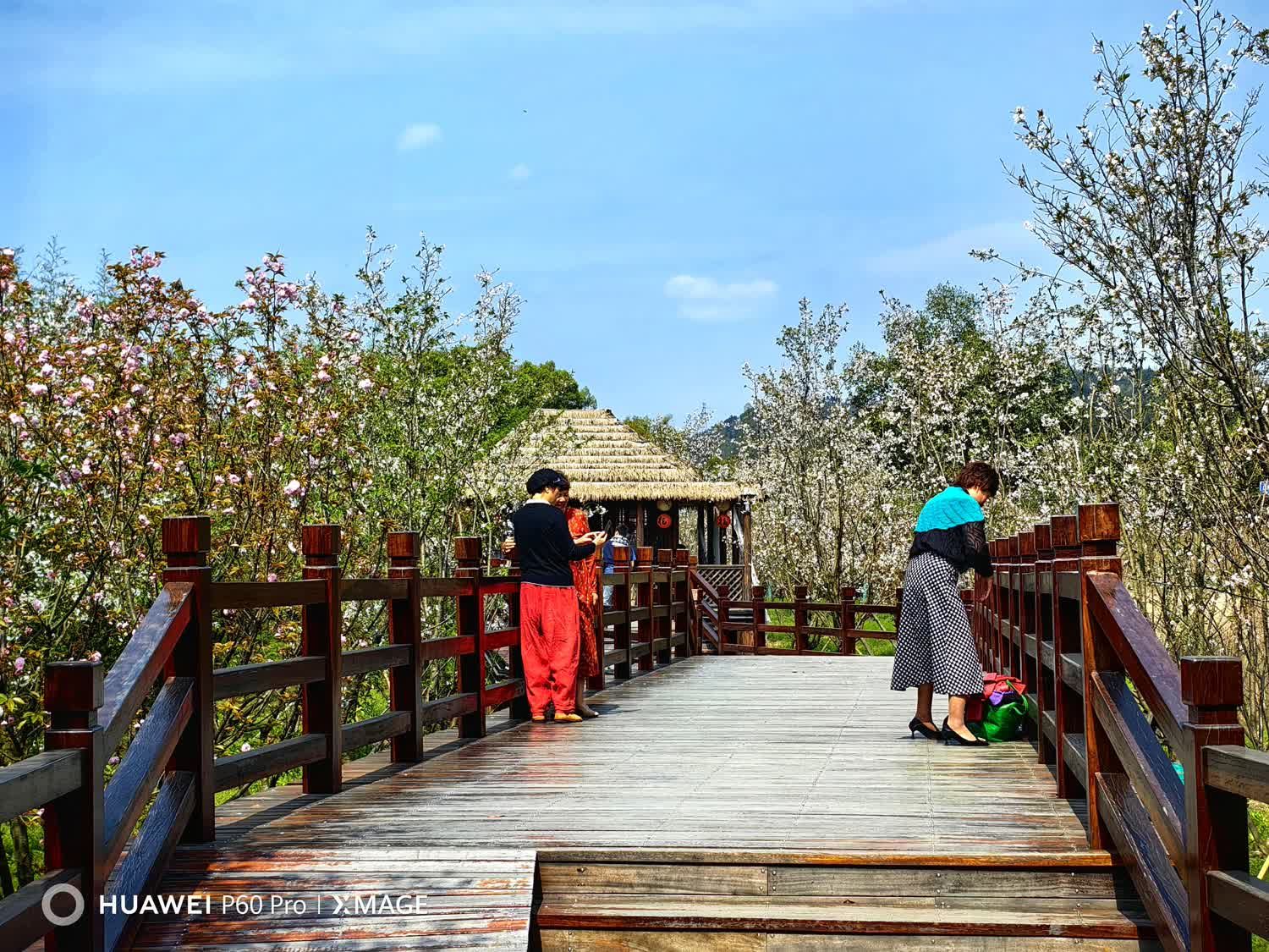 古堰画乡旅游度假区旅行图片 2