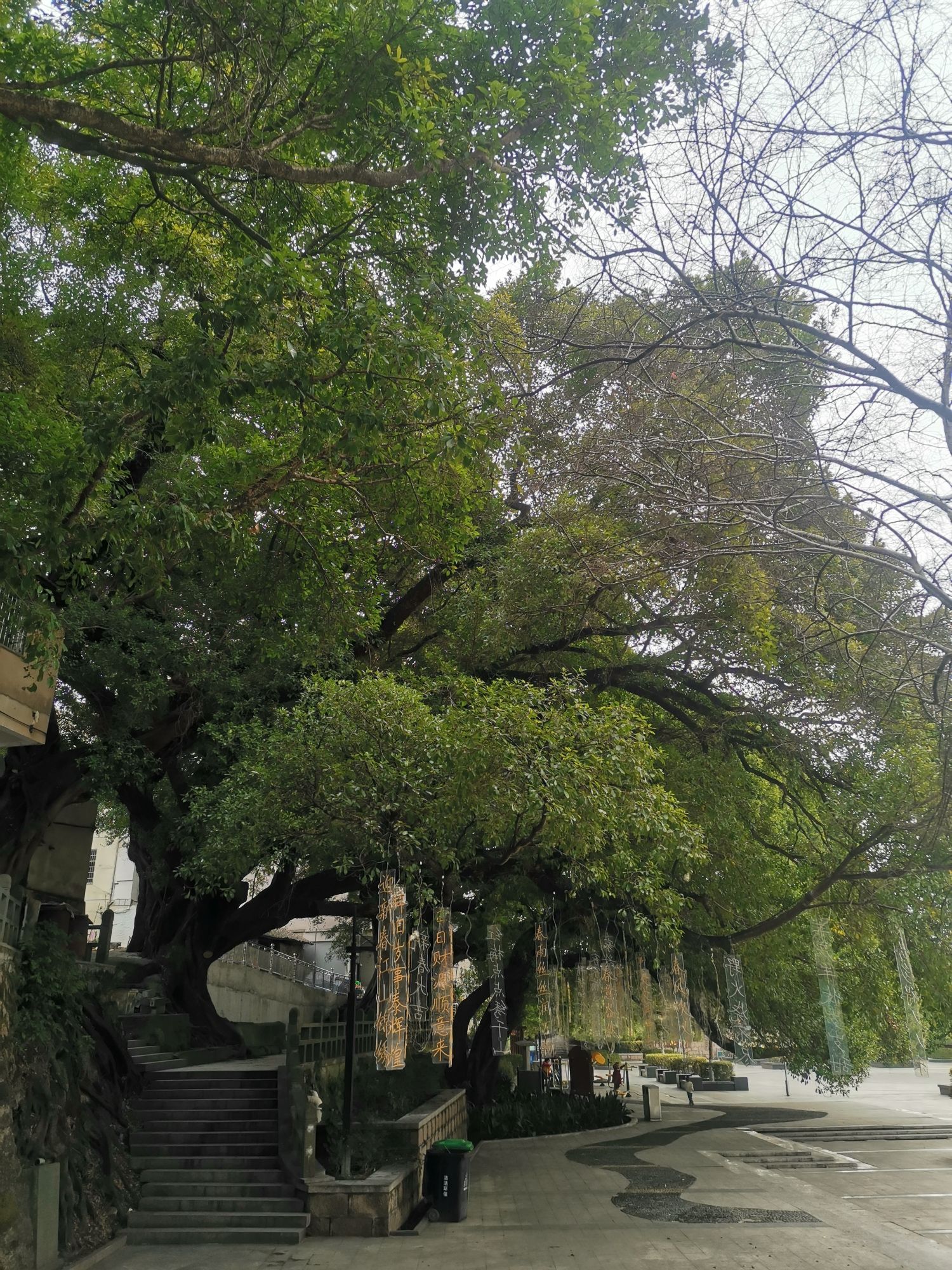 学神公园旅行图片 1