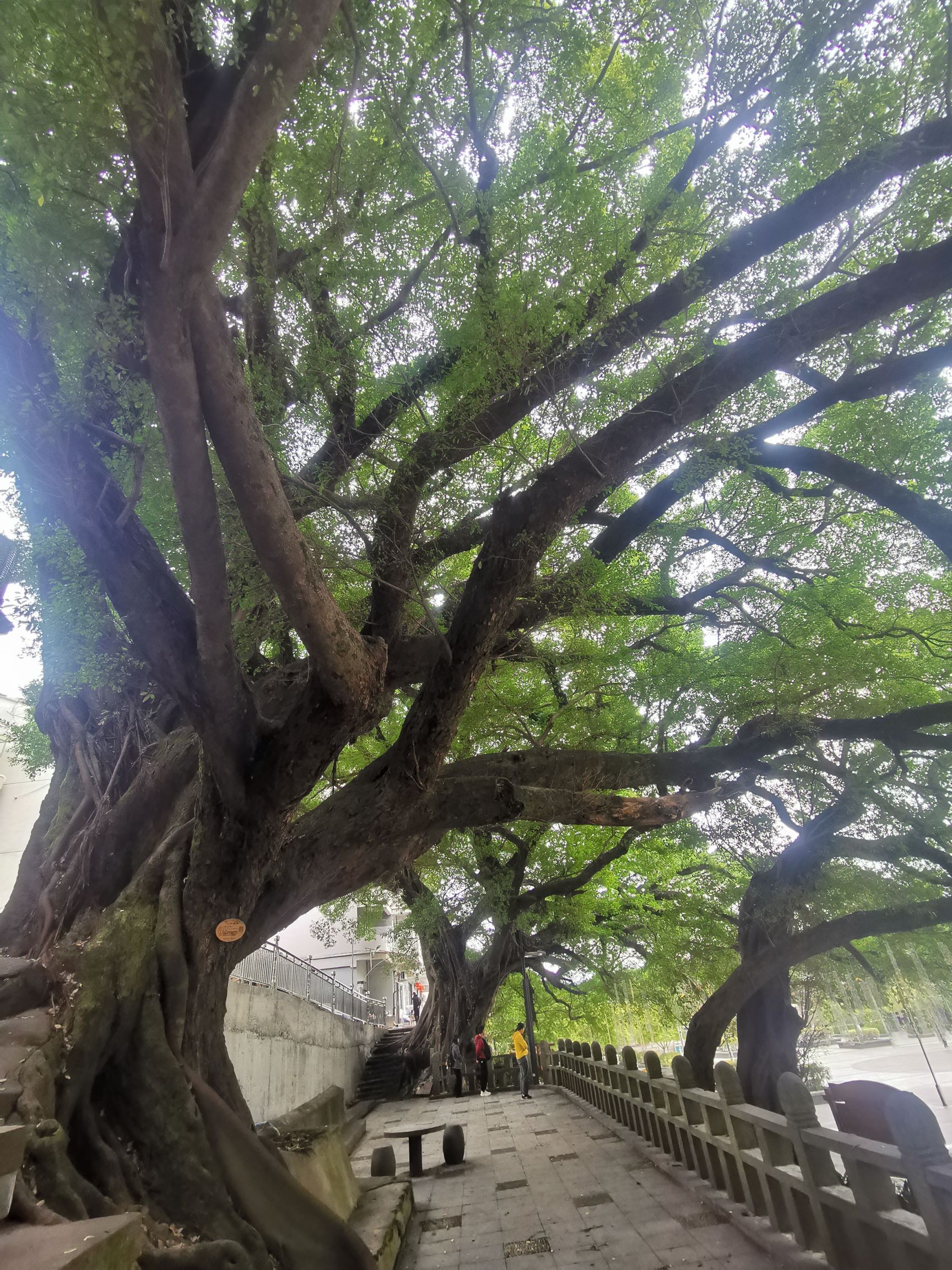 学神公园旅行图片 2