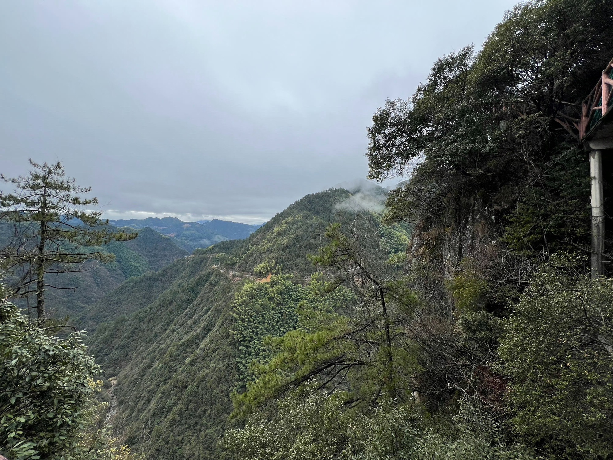 景宁畲族自治县畲乡之窗旅游区旅行图片 1